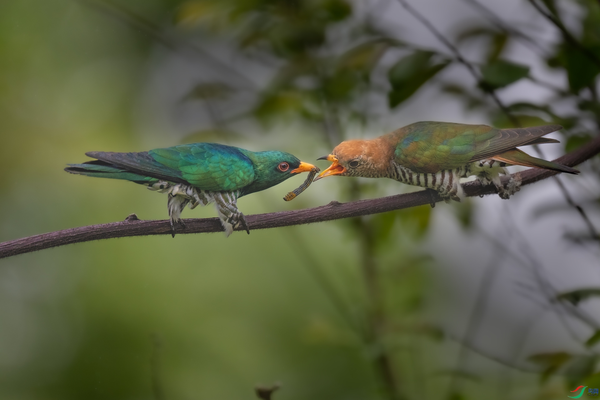 DSC_0644.jpg
