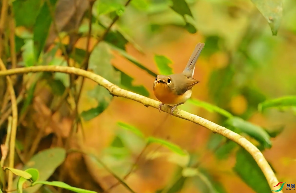 {61685EB1-27B1-4FC2-85CD-440B1C33F7EA} ����.jpg