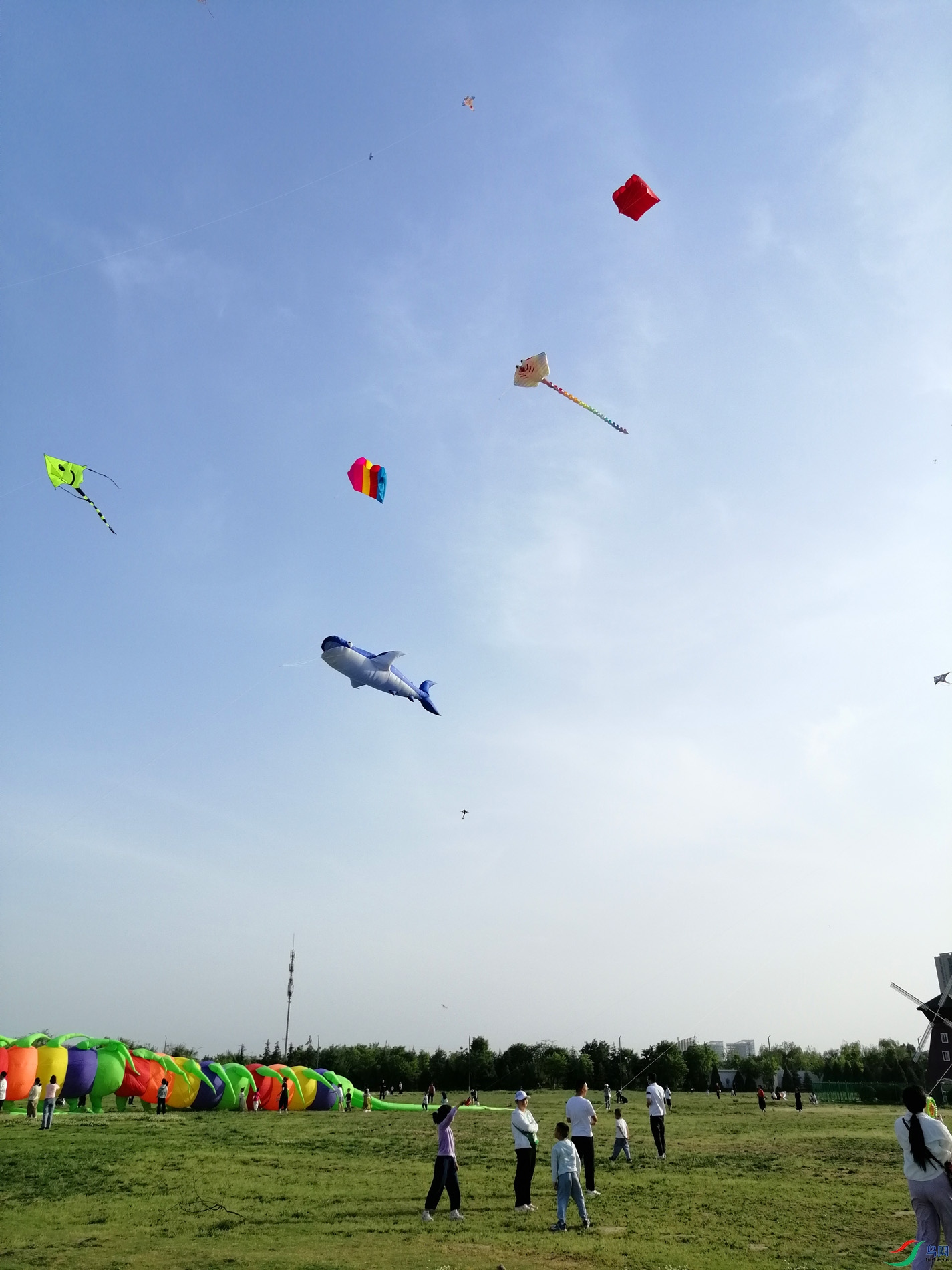 IMG_20250503_174246a.jpg