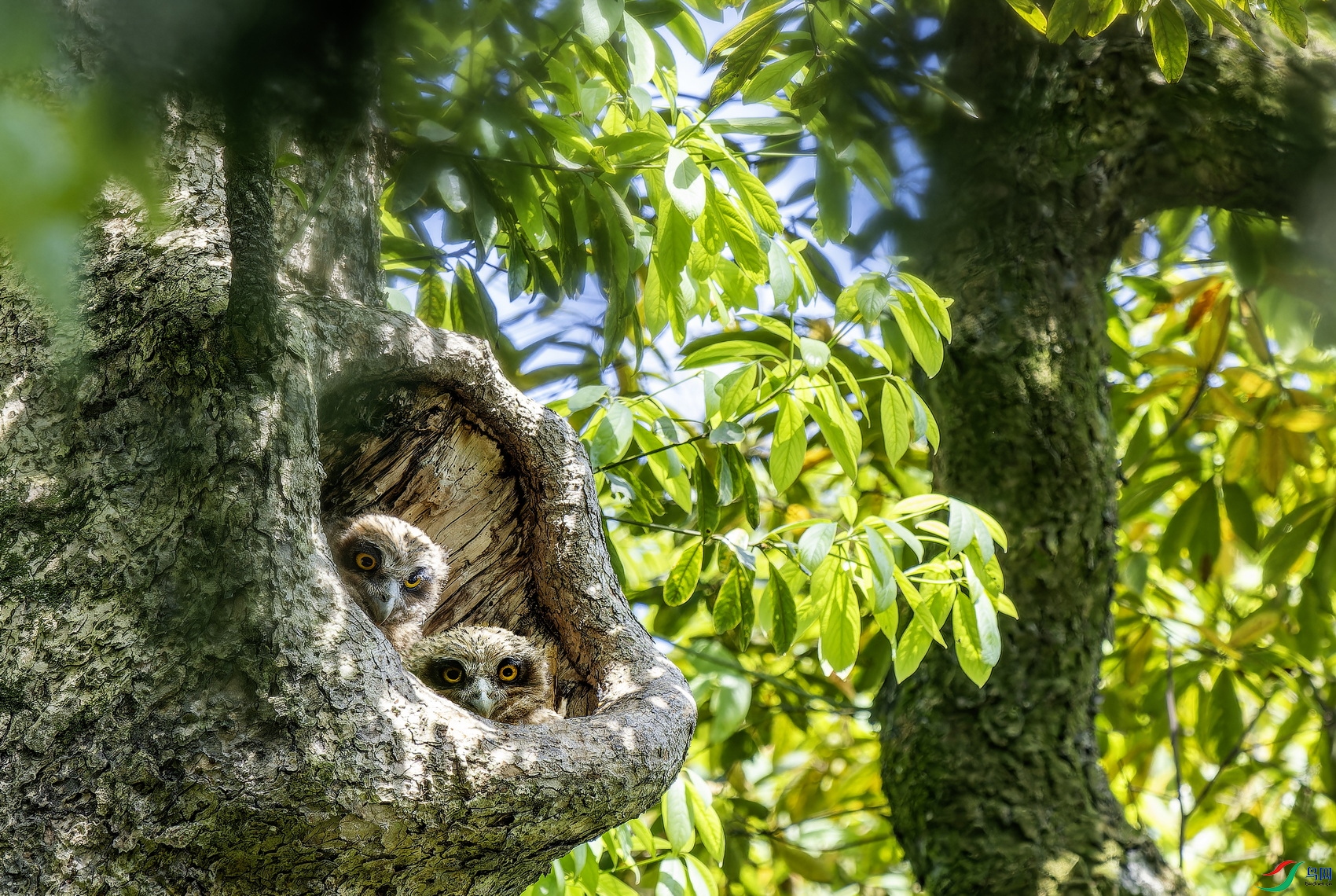 �������^��֮���� (328)-01.jpg