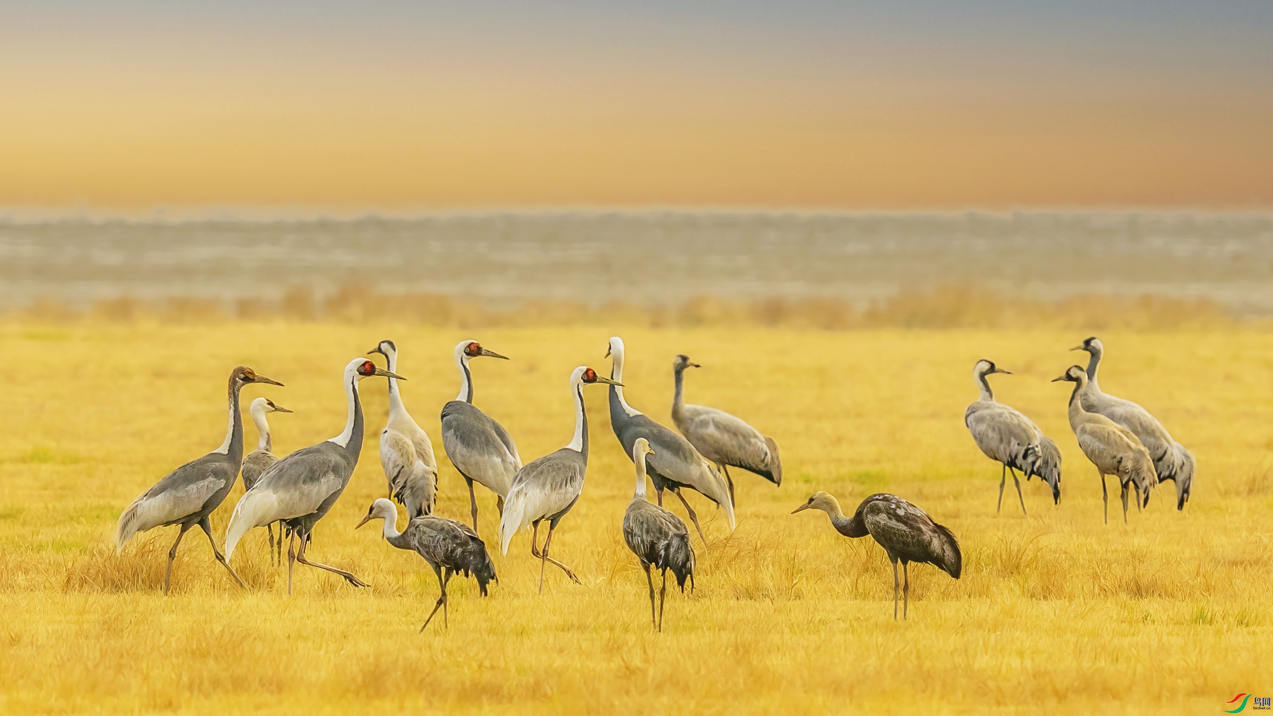 AE1V2056 ����.jpg