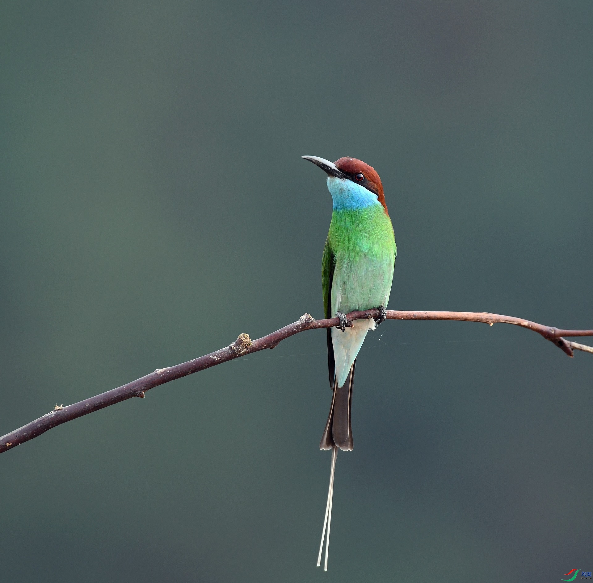 DSC_0337.jpg