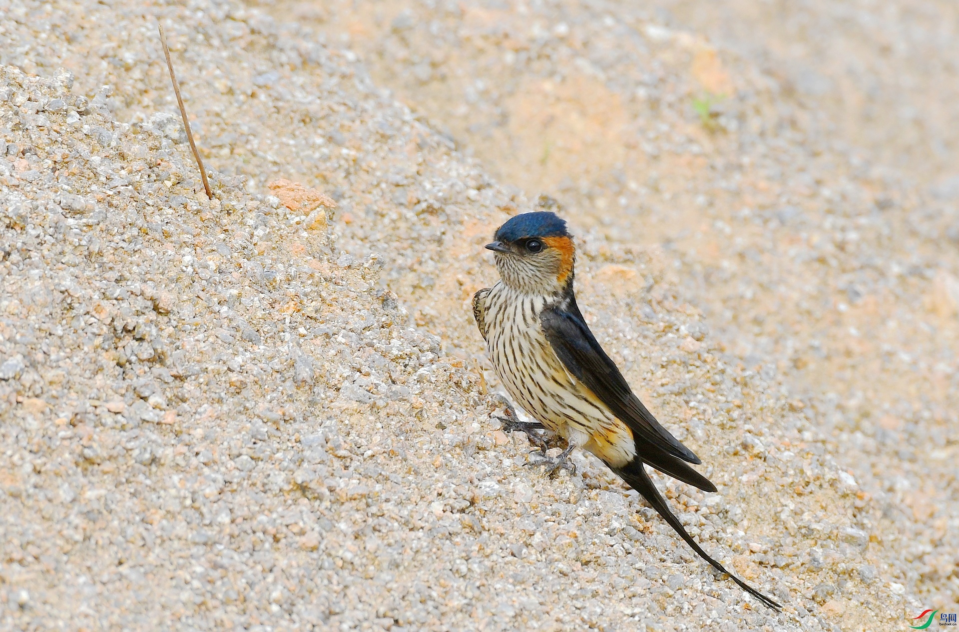 DSC_6482.jpg