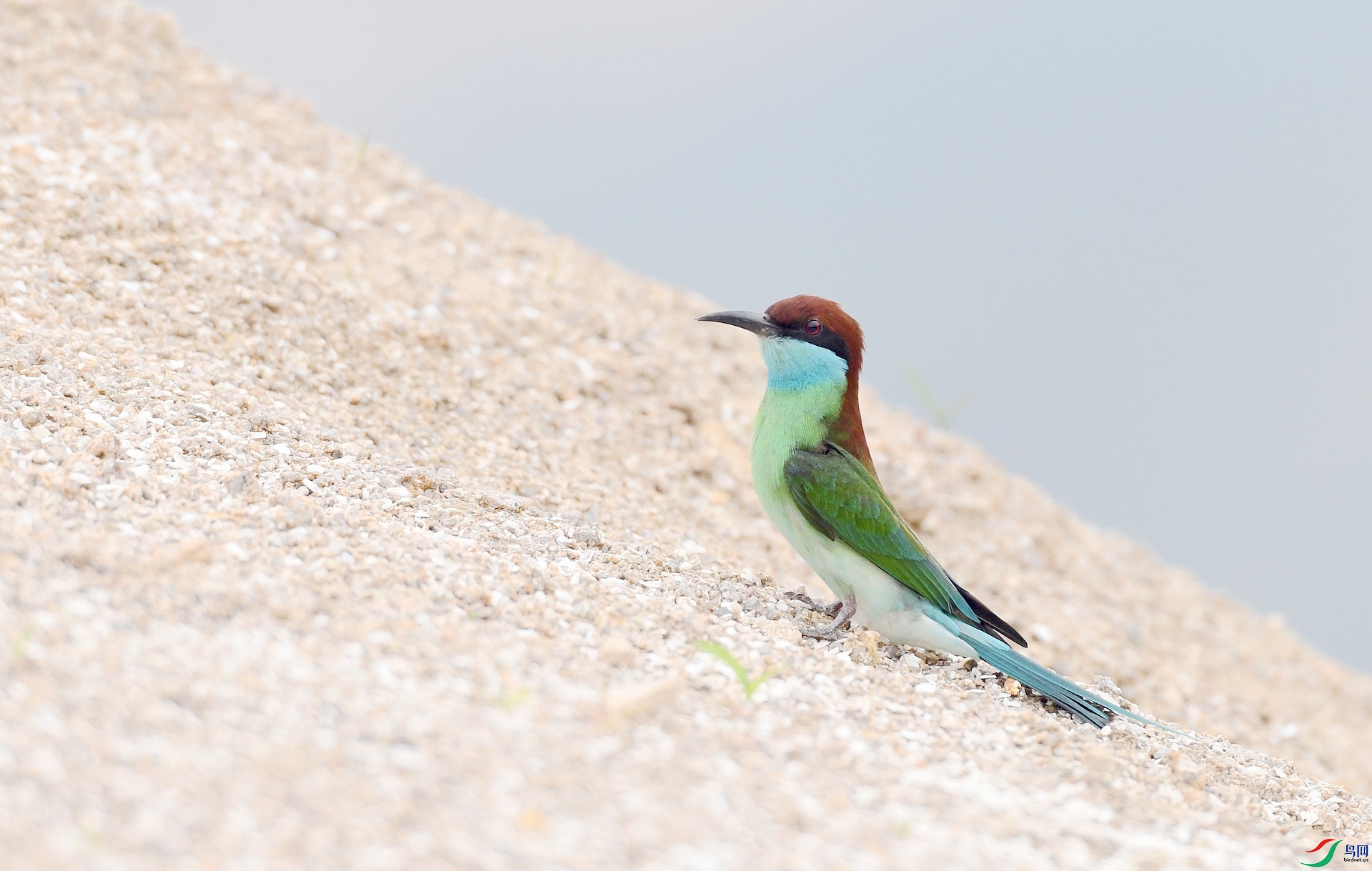 DSC_6545.jpg