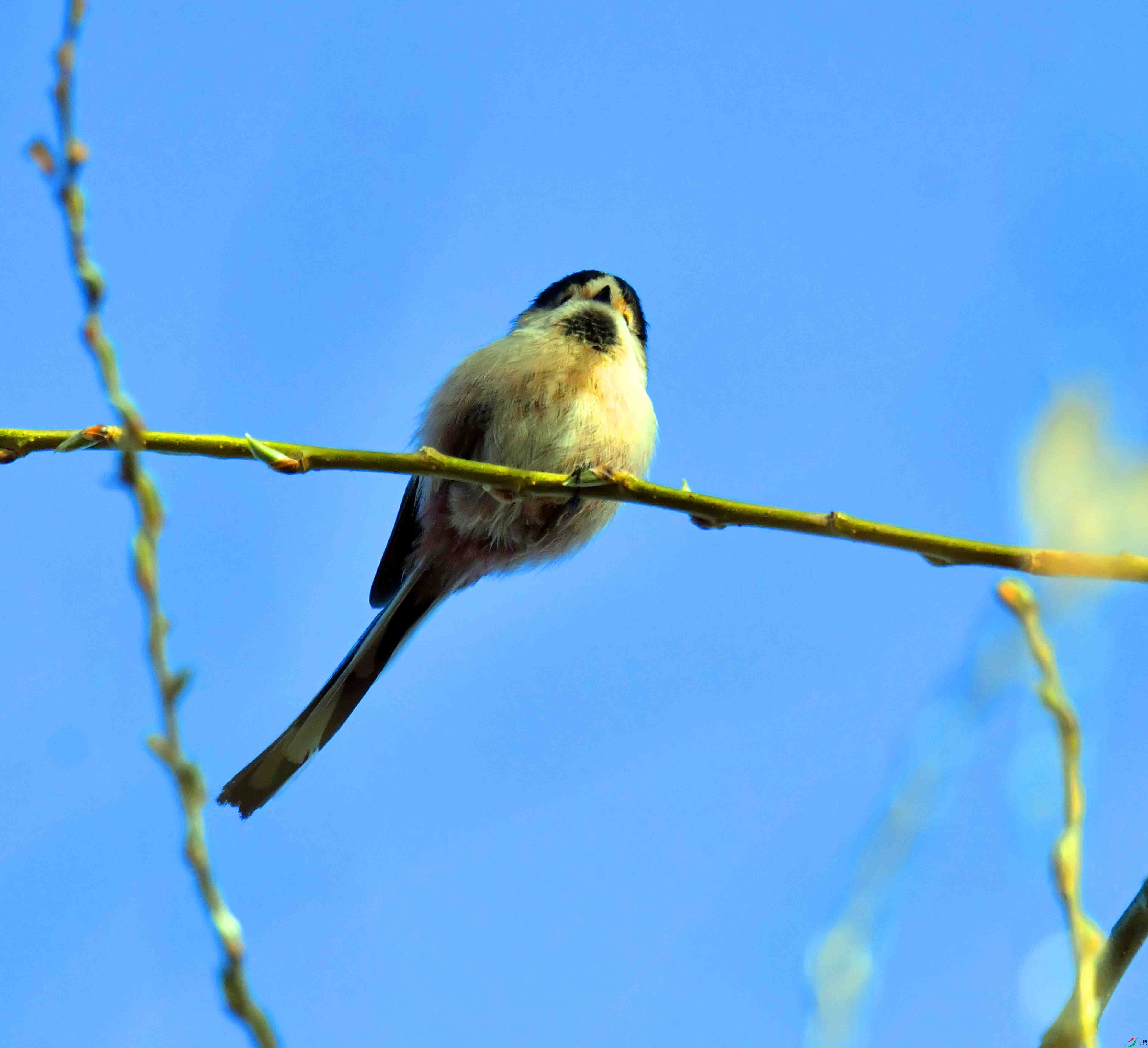 DSC_9842.JPG