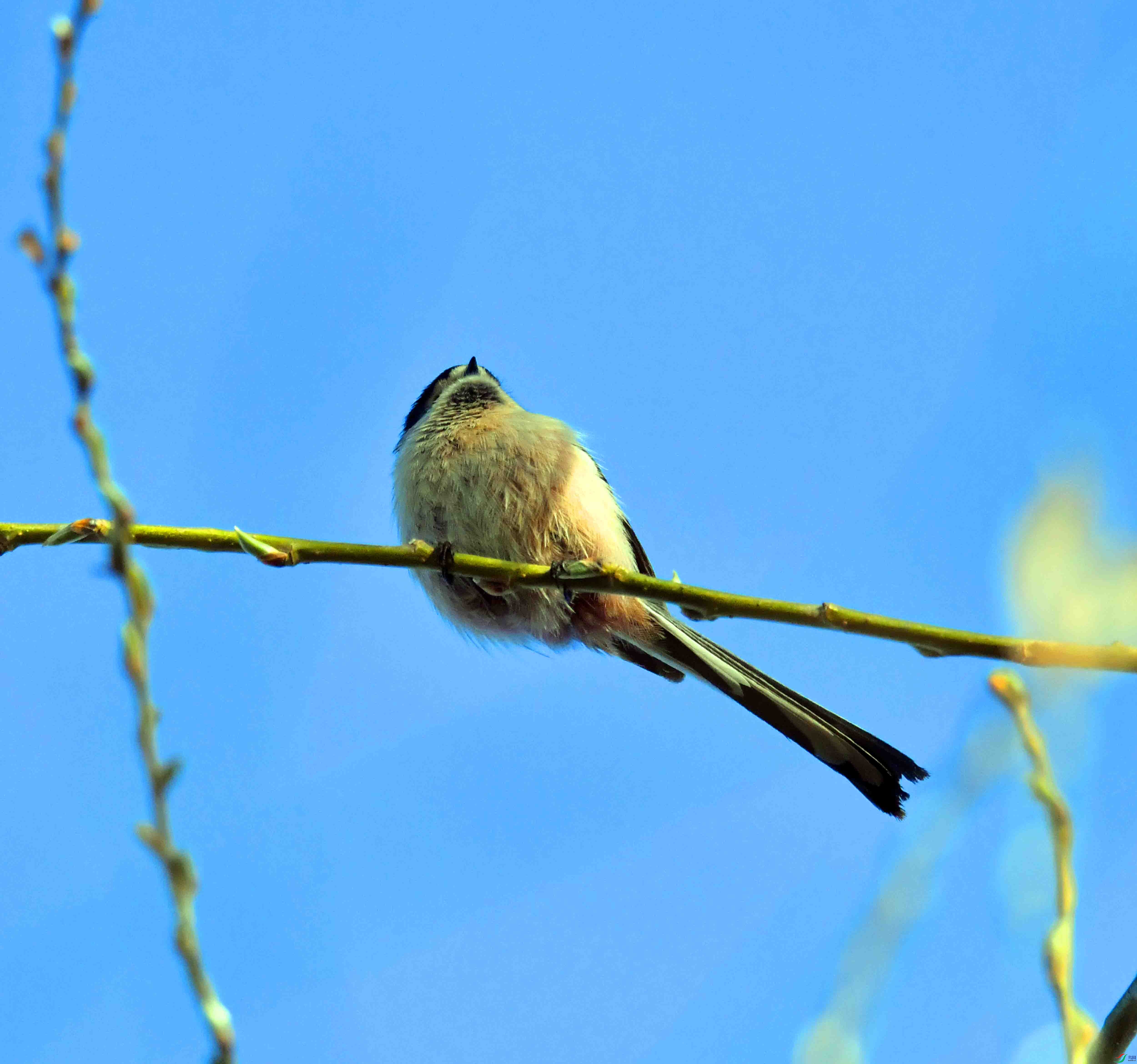 DSC_9845.JPG