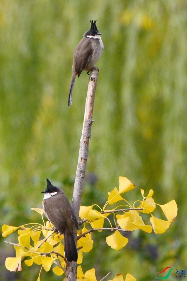 DSC_5658.JPG