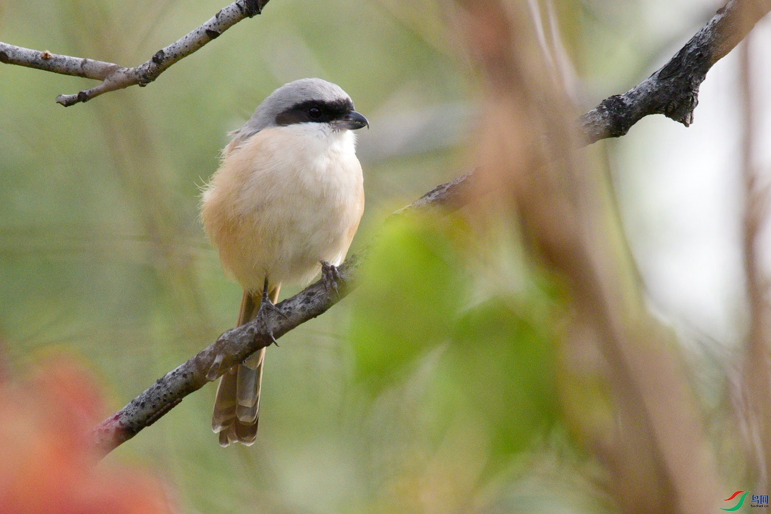 DSC_5687.JPG