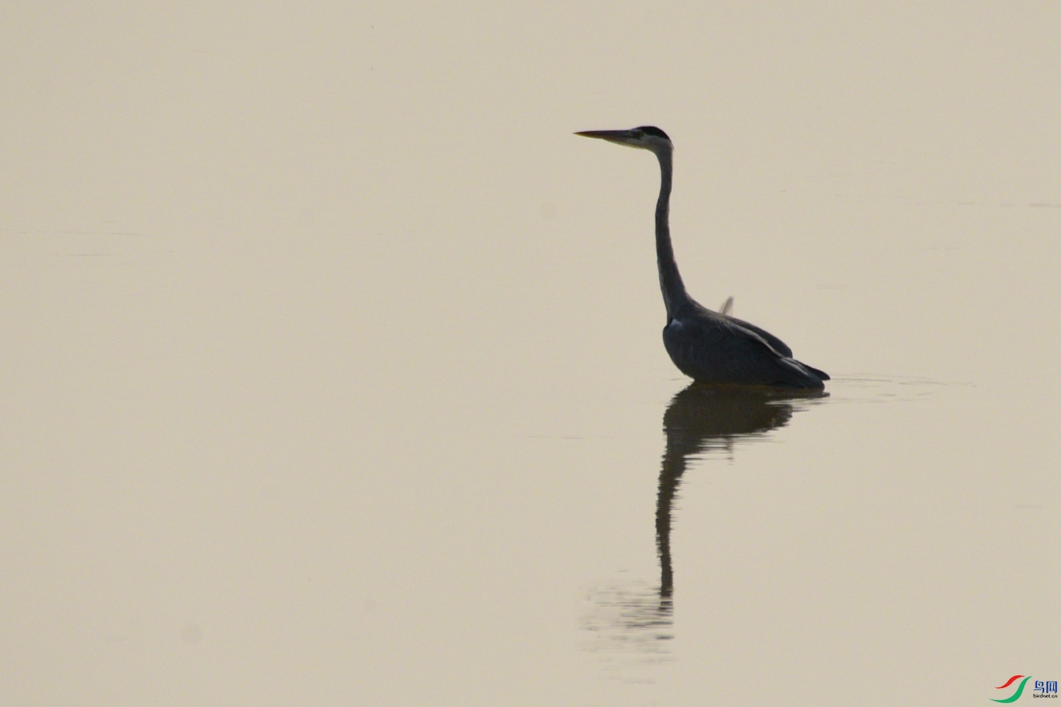 DSC_7876.JPG