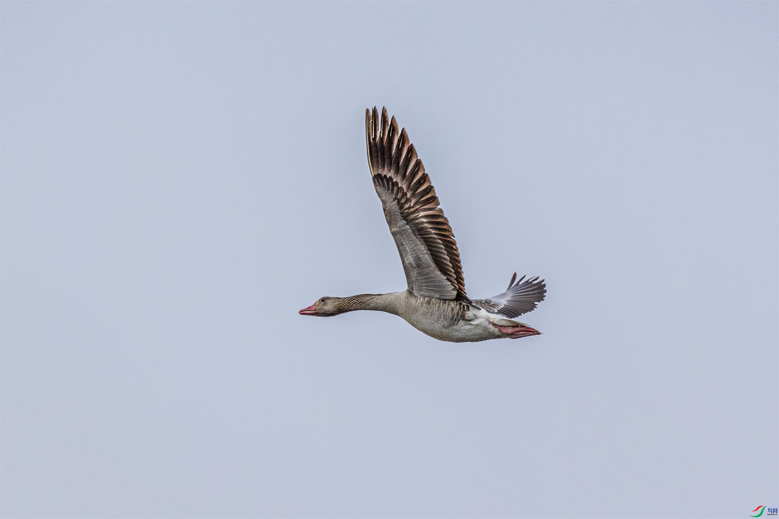 1K3A0097 ����1.jpg