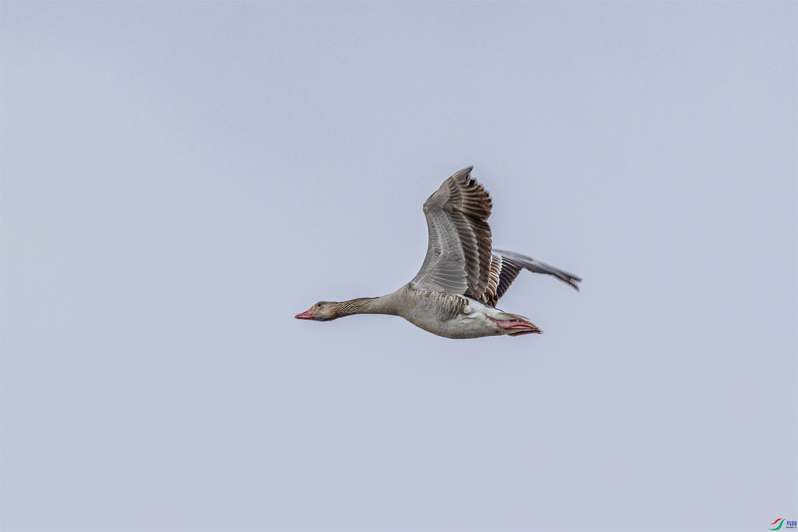 1K3A0100 ����1.jpg