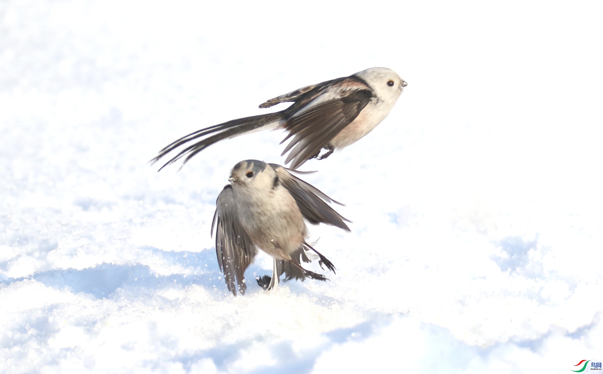 0G1A2374 ����.jpg