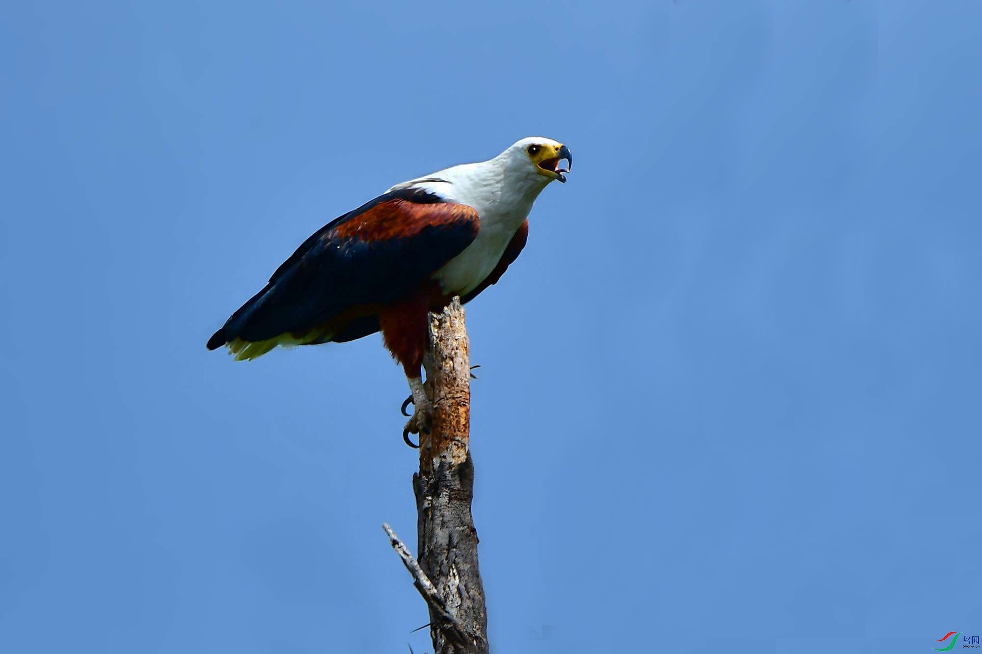 DSC_0882_.jpg