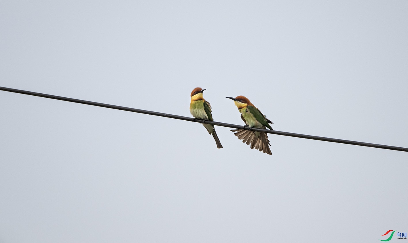 DSC_5345 ����.jpg