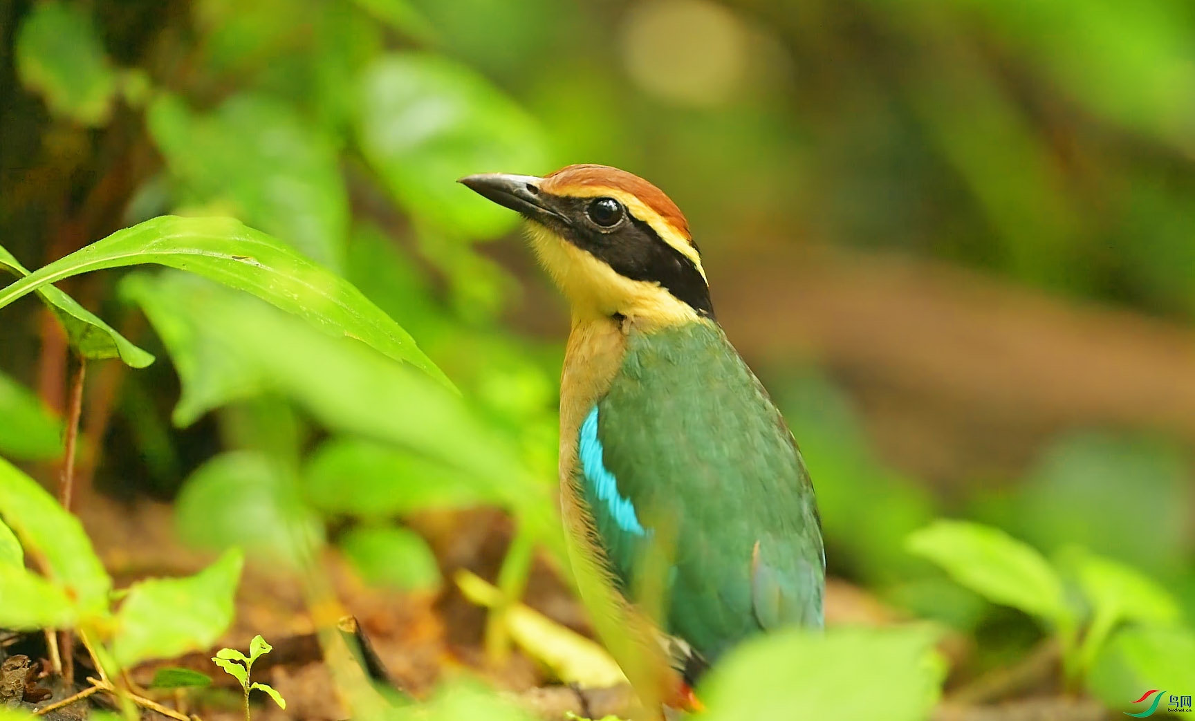 {E17F24F5-4628-4BD5-9D3B-F02B18278F20} ����.jpg