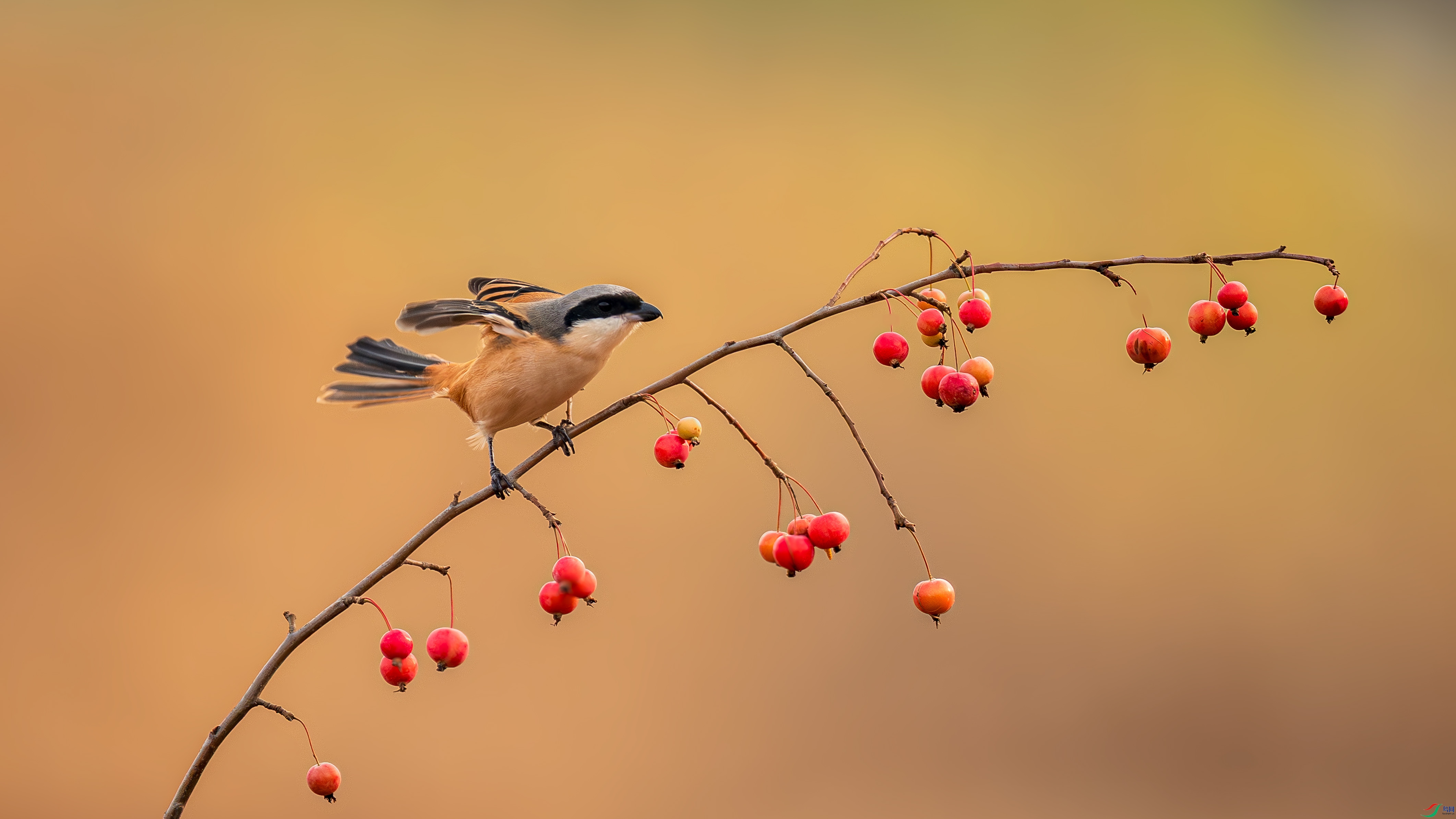 a_DSC6609_����.jpg