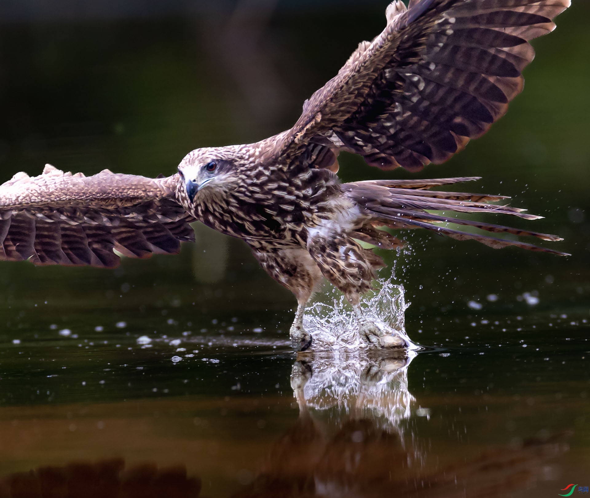 _J5A8209-6-4.jpg