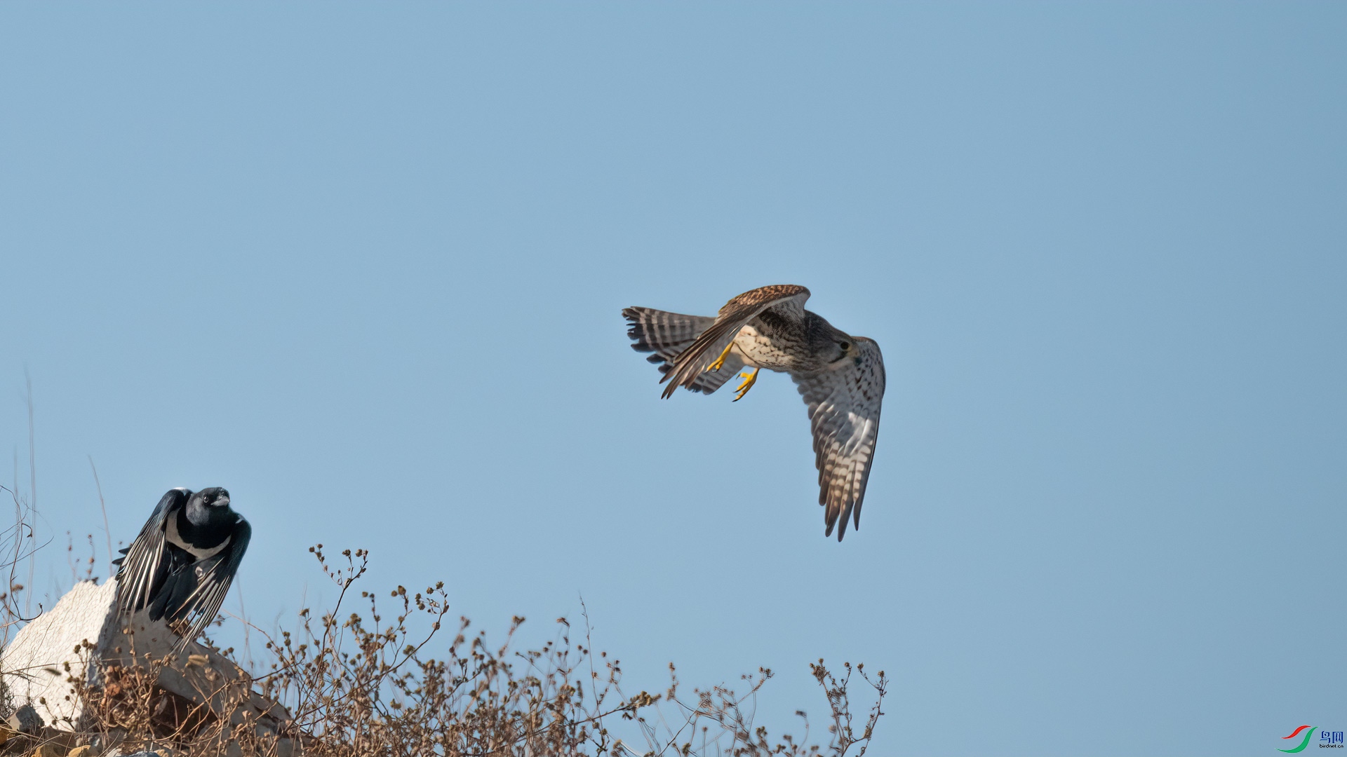 _DSC6237-1x1.jpg
