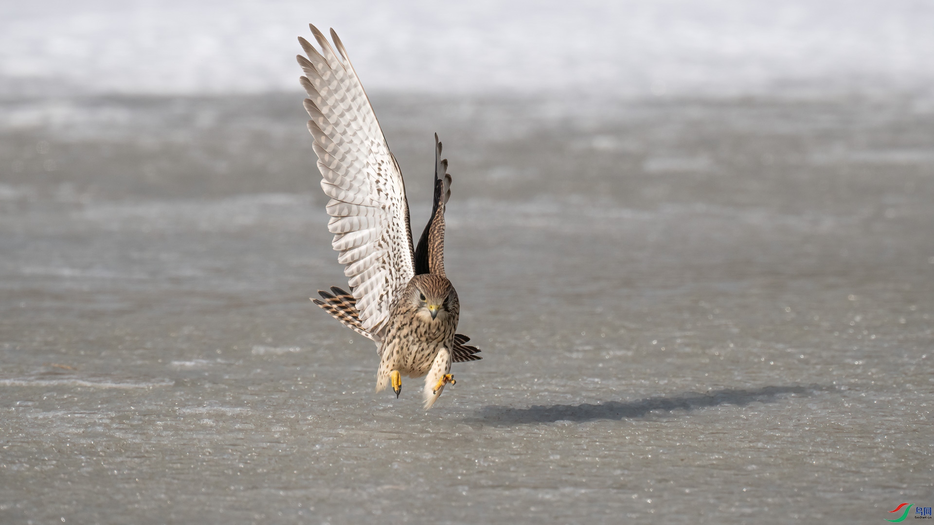 _DSC5801-1x5.jpg