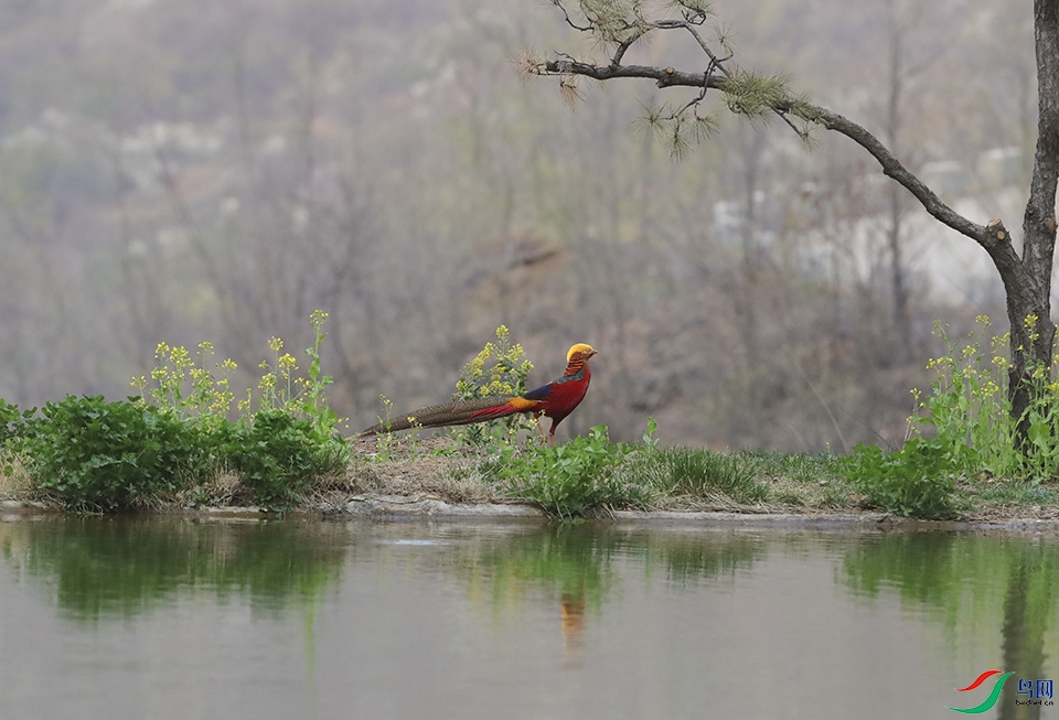 0037.jpg