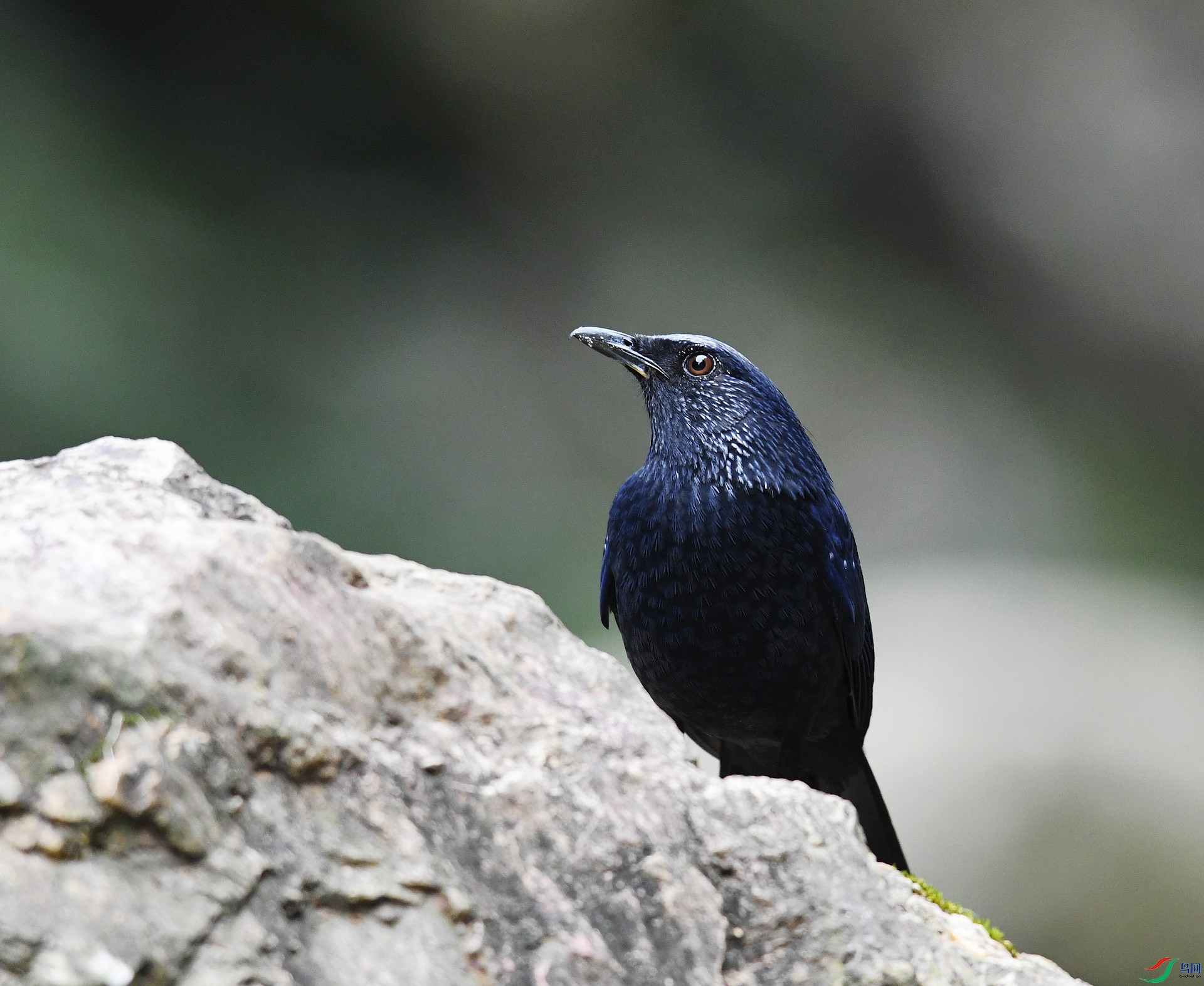 DSC_9816.jpg