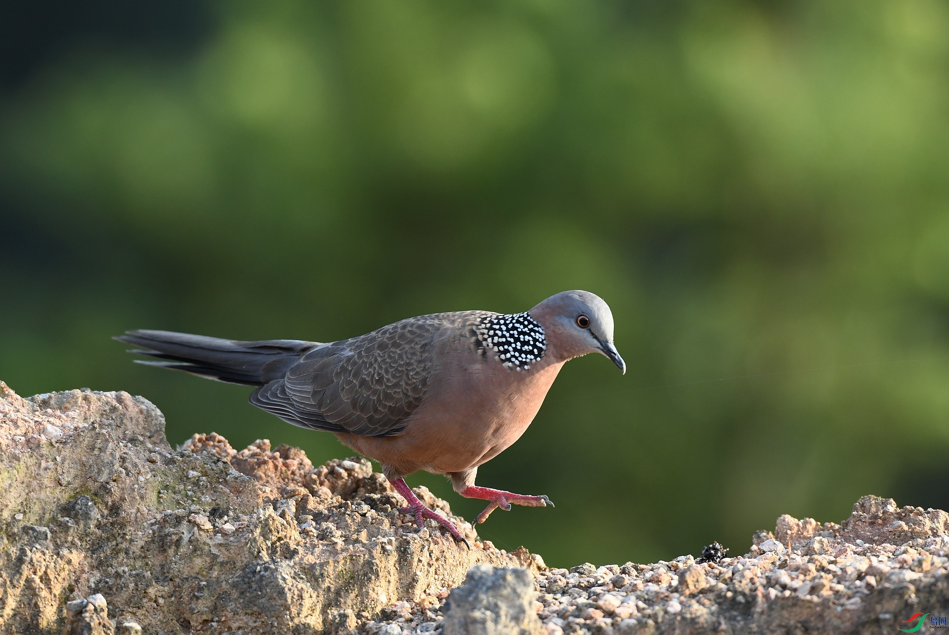 DSC_9051.jpg