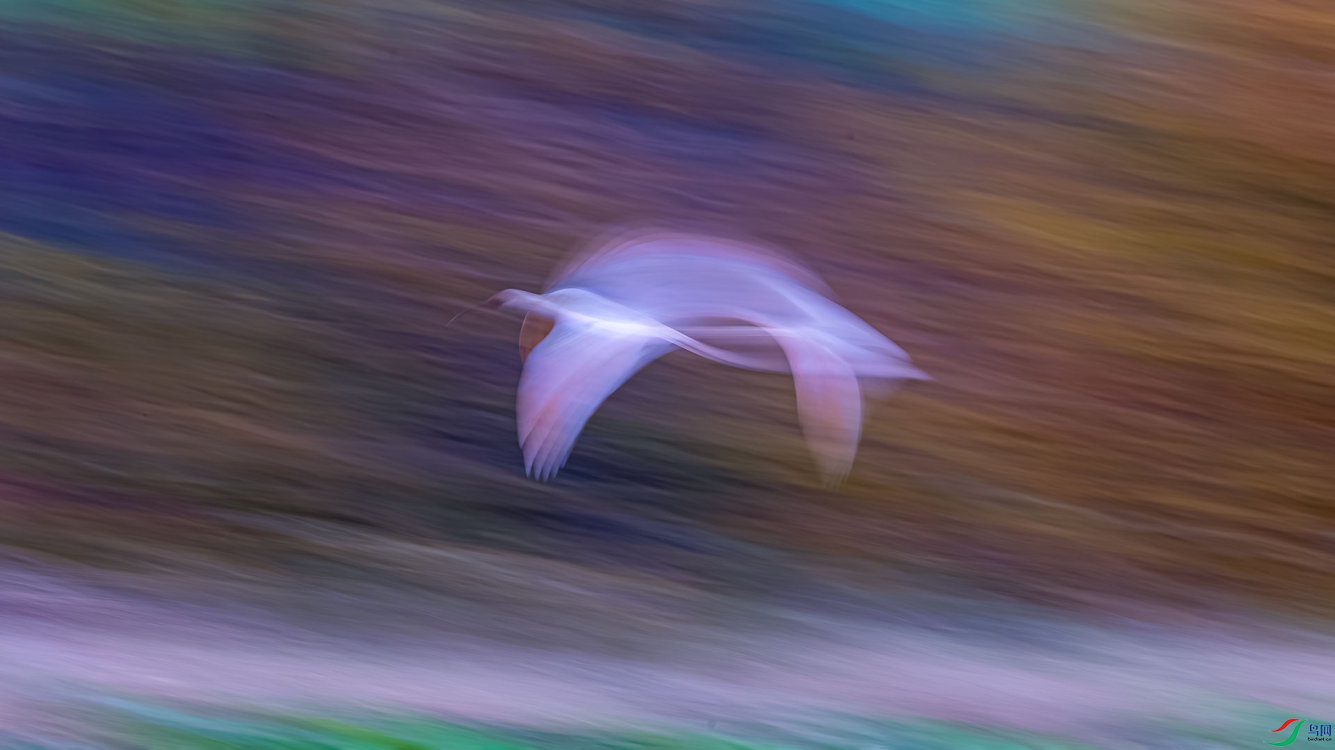 0Q4A4628-����ǿ-NR.jpg