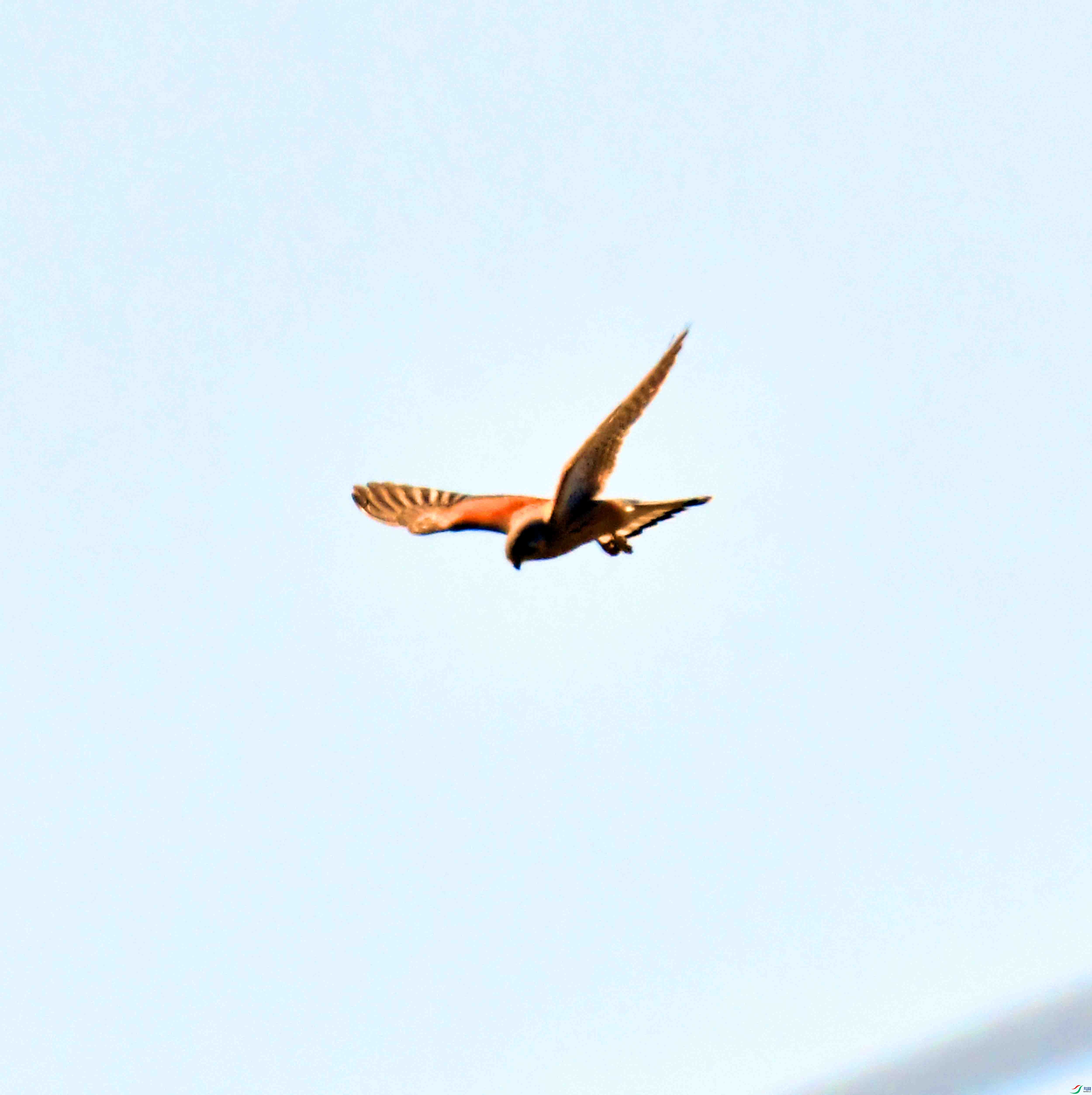 DSC_0694.JPG