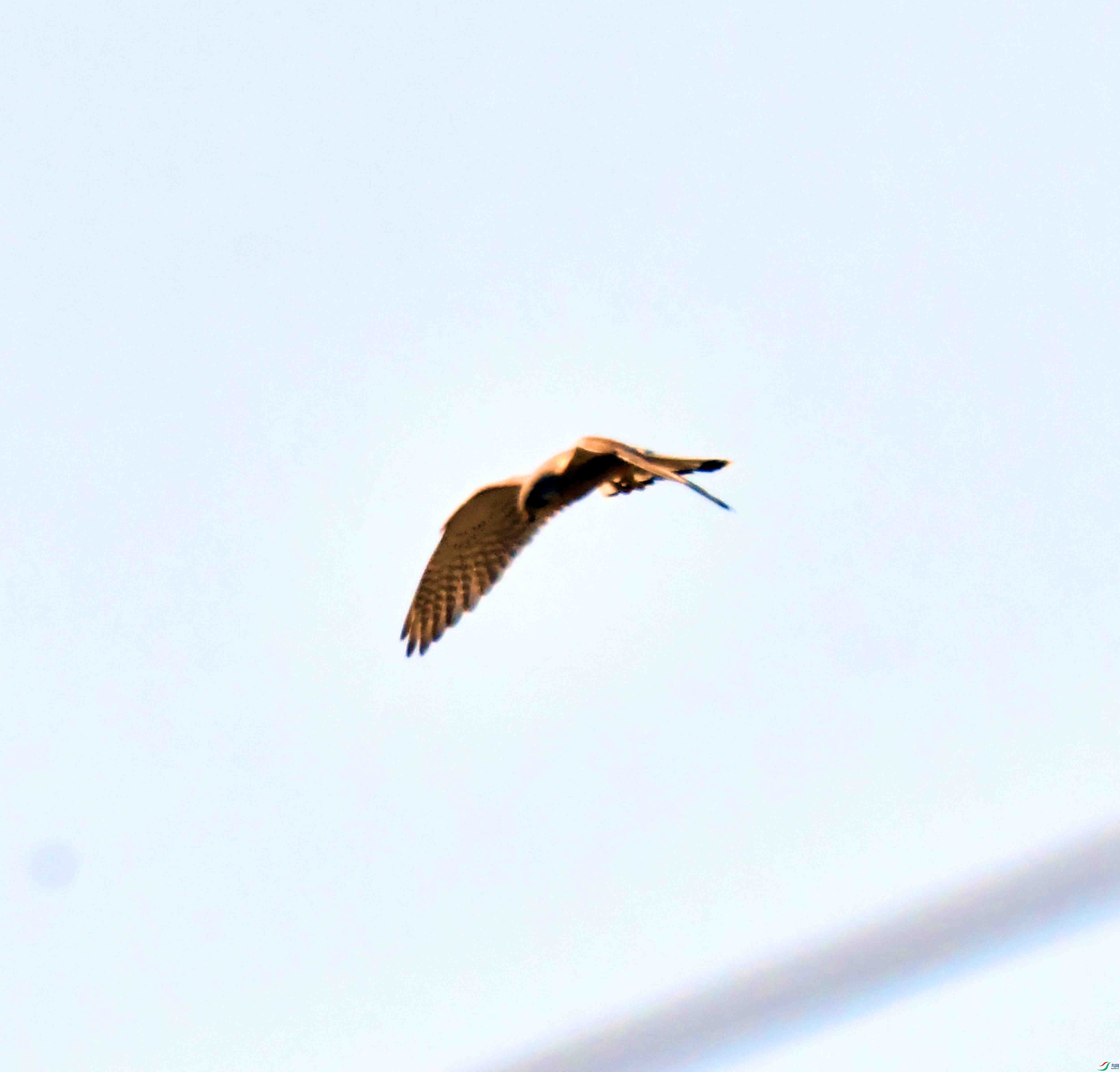 DSC_0695.JPG