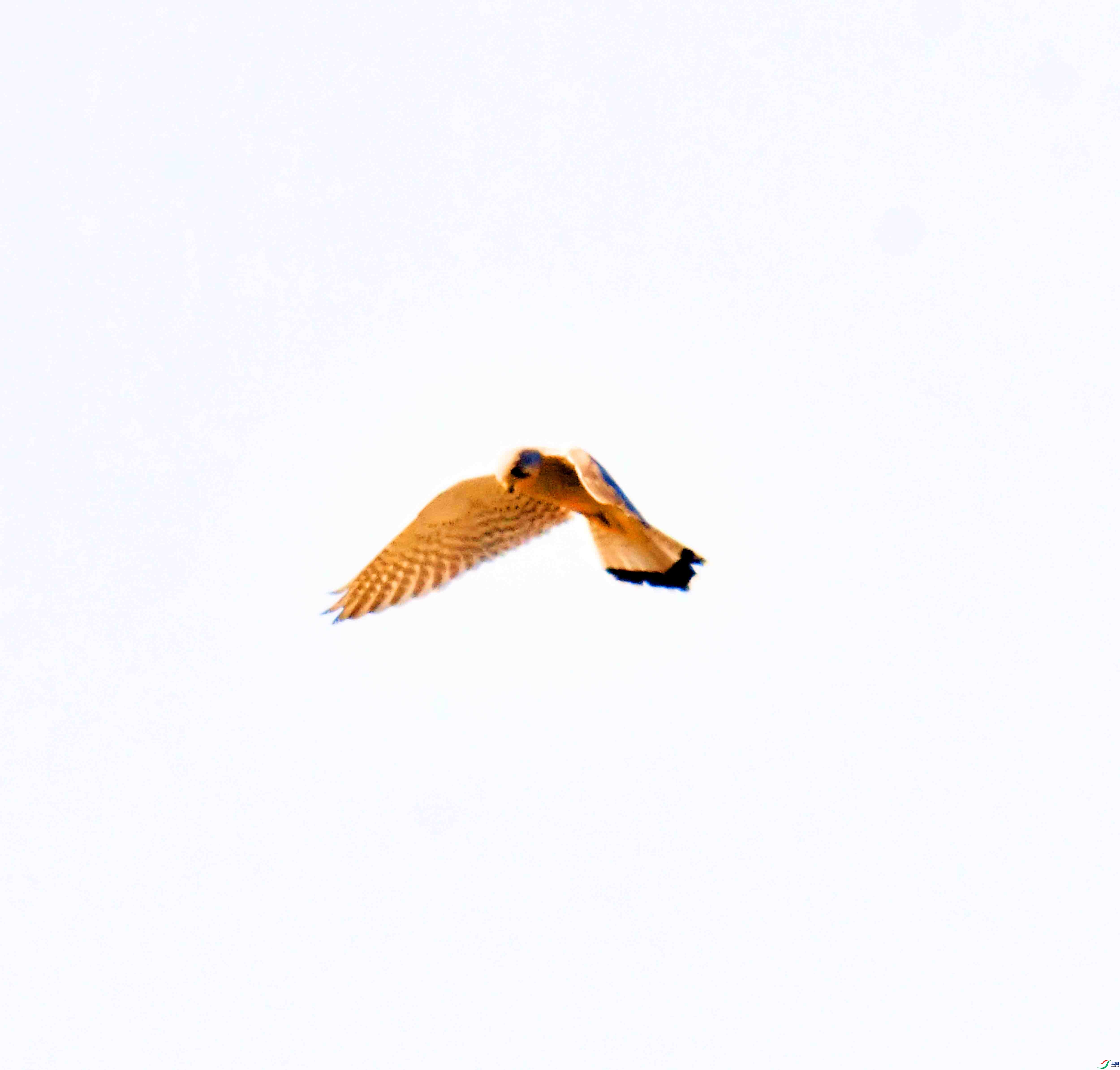 DSC_0727.JPG