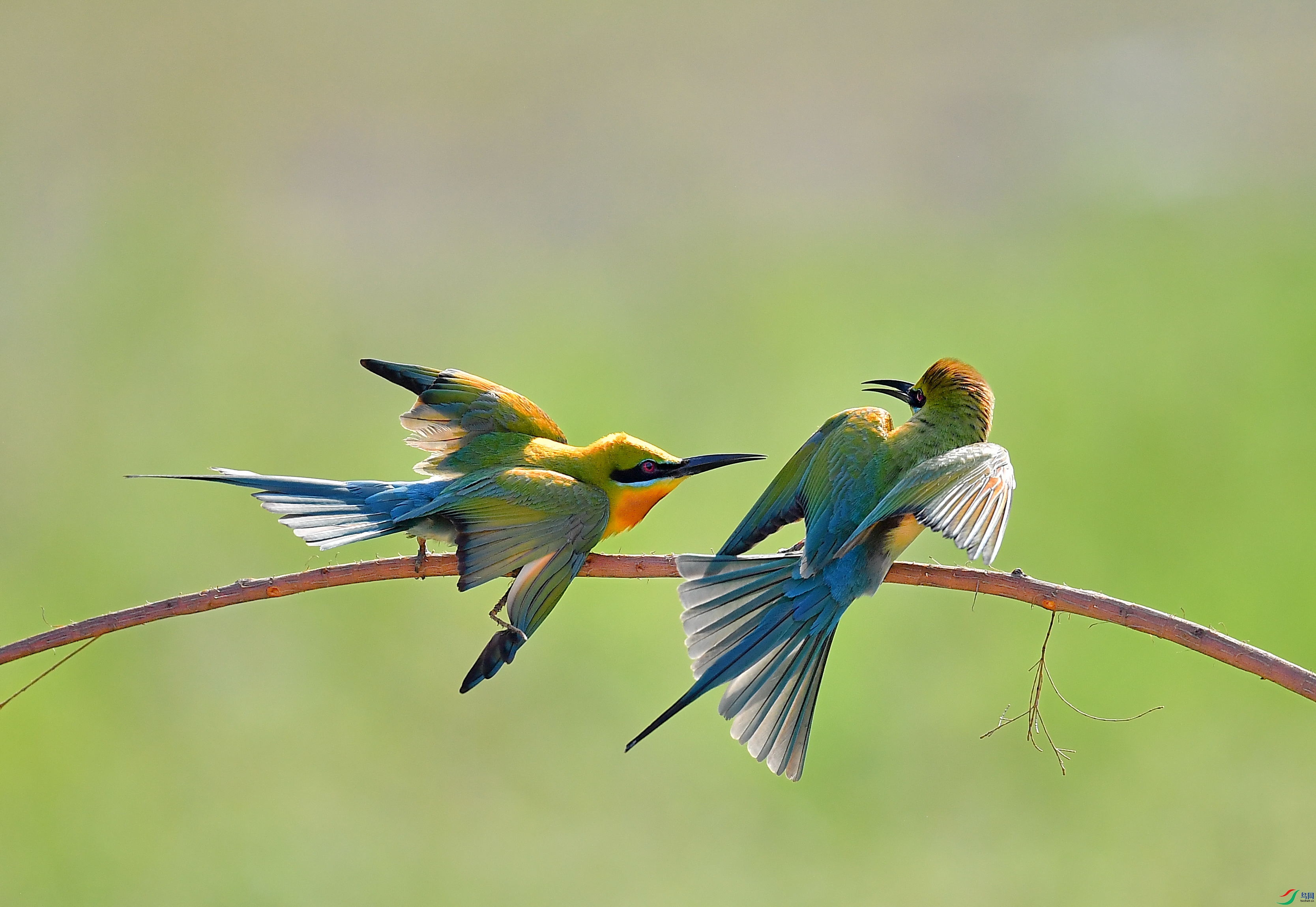DSC_7898.JPG