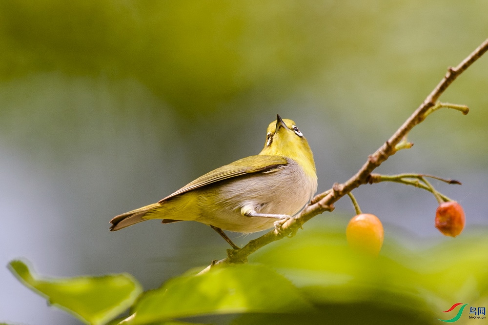 XSX_0202 ����.jpg