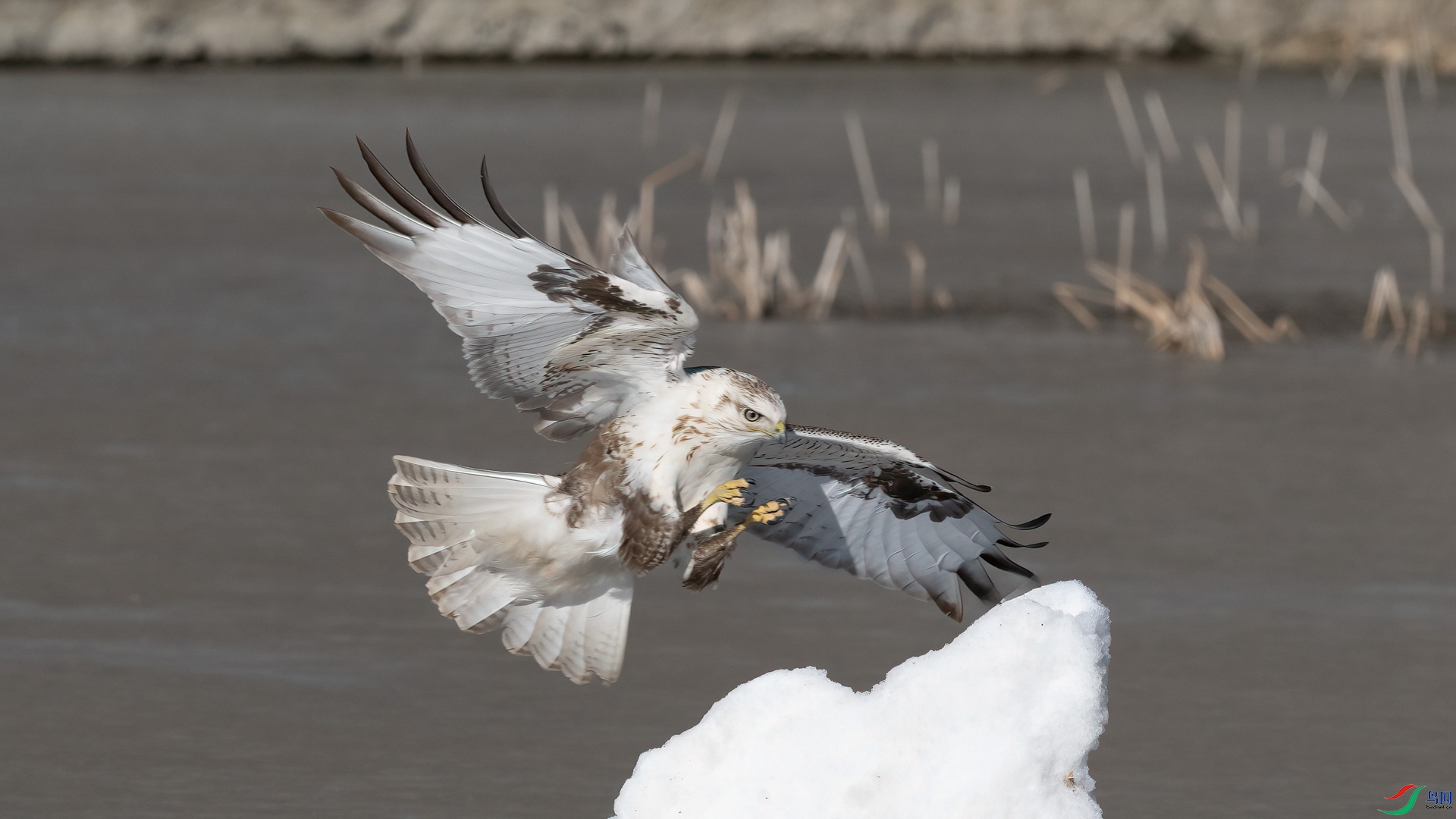 _DSC8040-1x.jpg