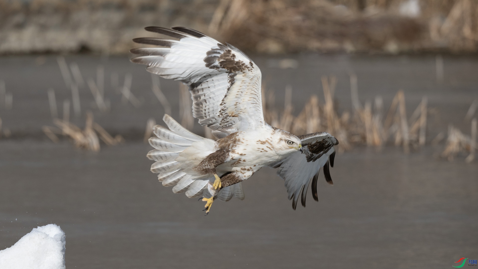 _DSC8218-x6.jpg