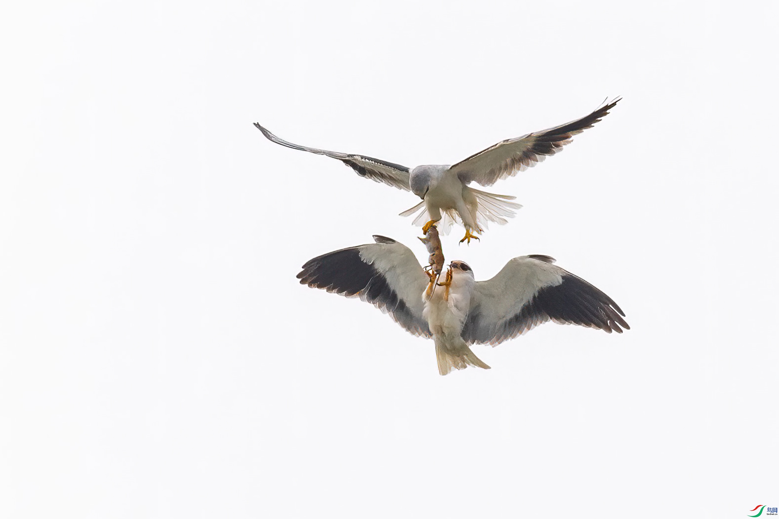 BK0A7846-0.jpg