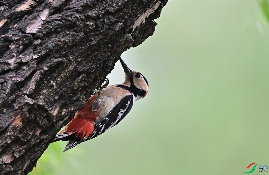 DSC_8915.JPG