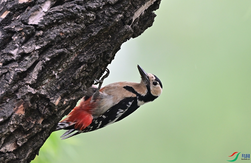 DSC_8922.JPG