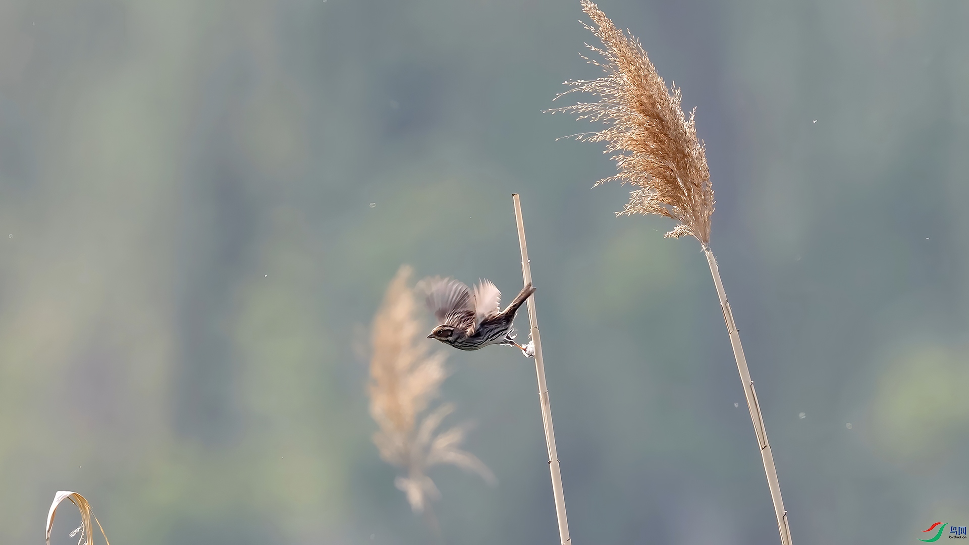 ��֡ 2025-05-08 200526_1.1.jpg