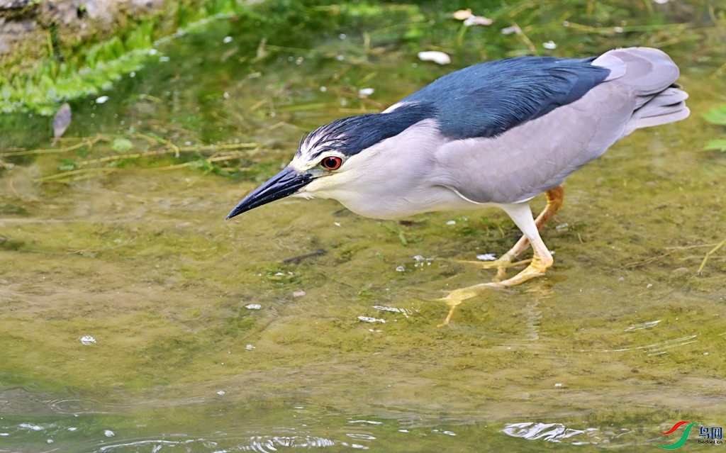 DSC_9229.JPG