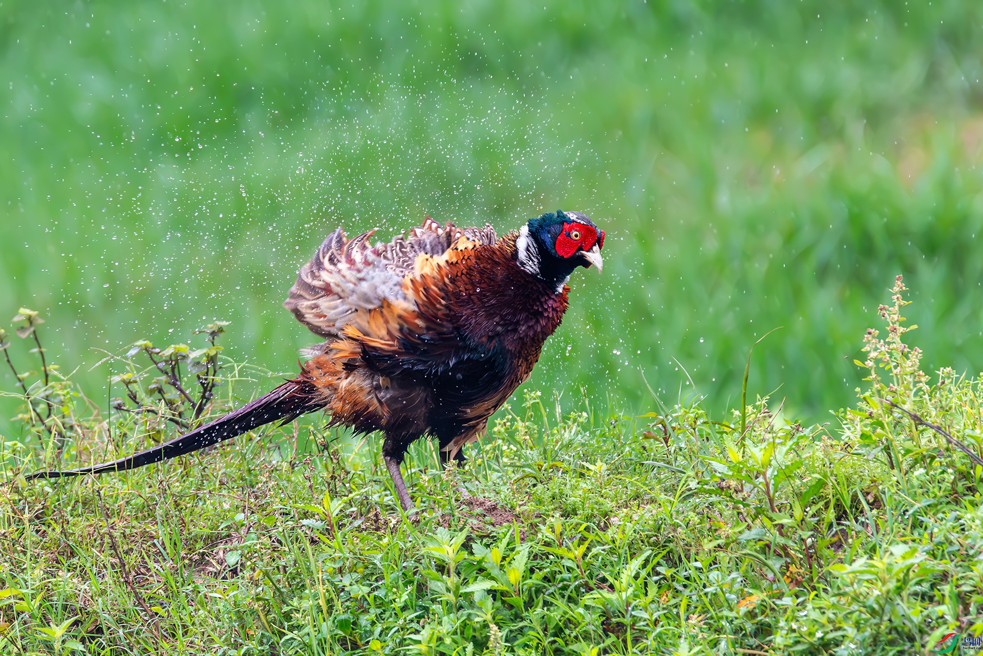 20250509��ᶶ�� ����.jpg