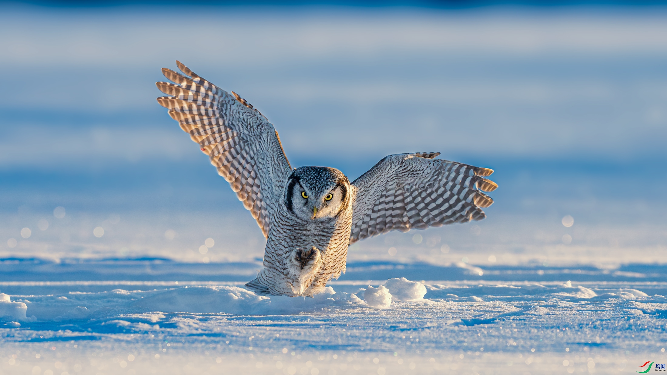 a_DSC8609_����.jpg