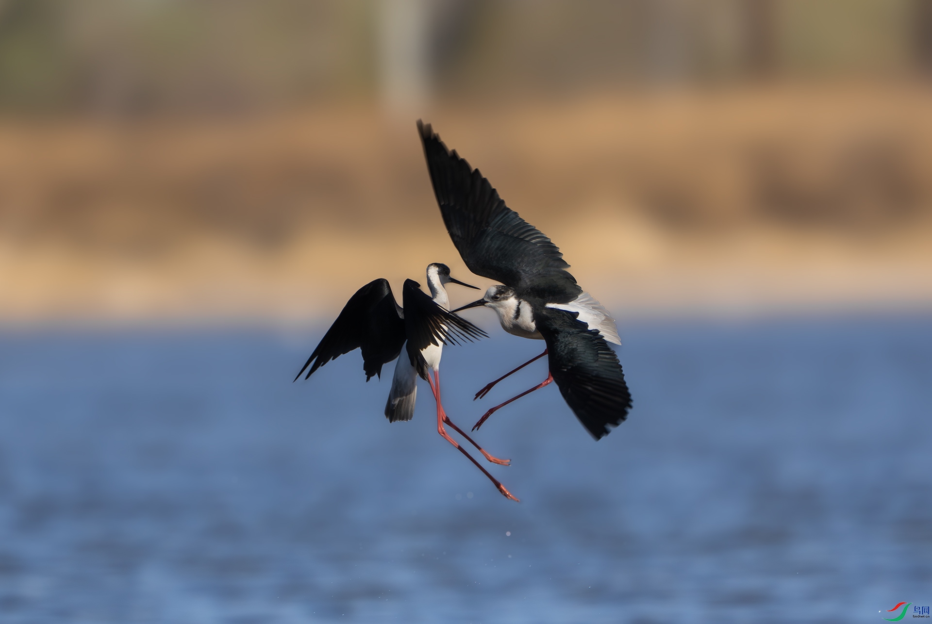 DSC03410-����ǿ-NR ����.jpg