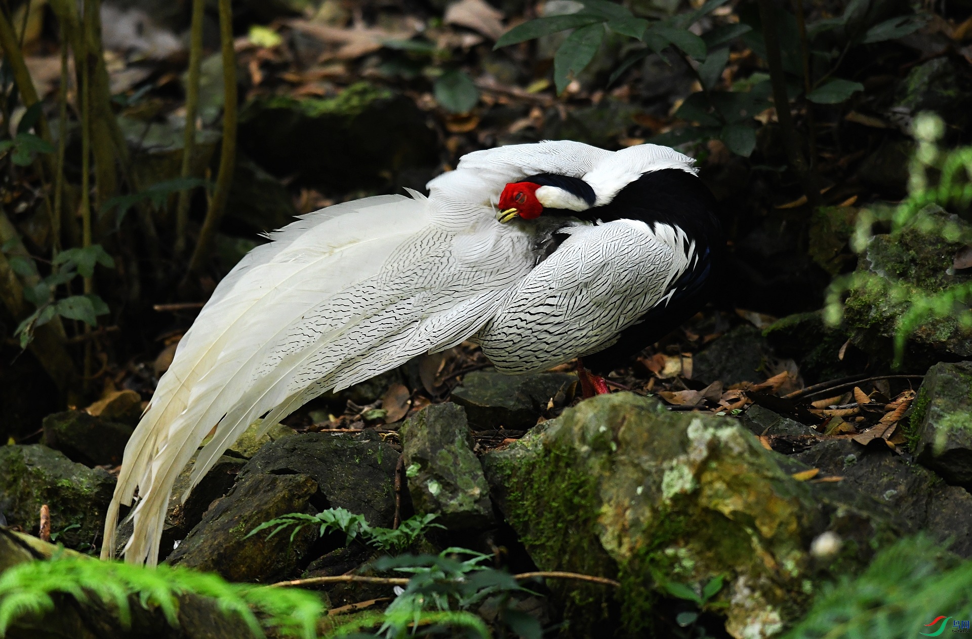 DSC_5263.jpg