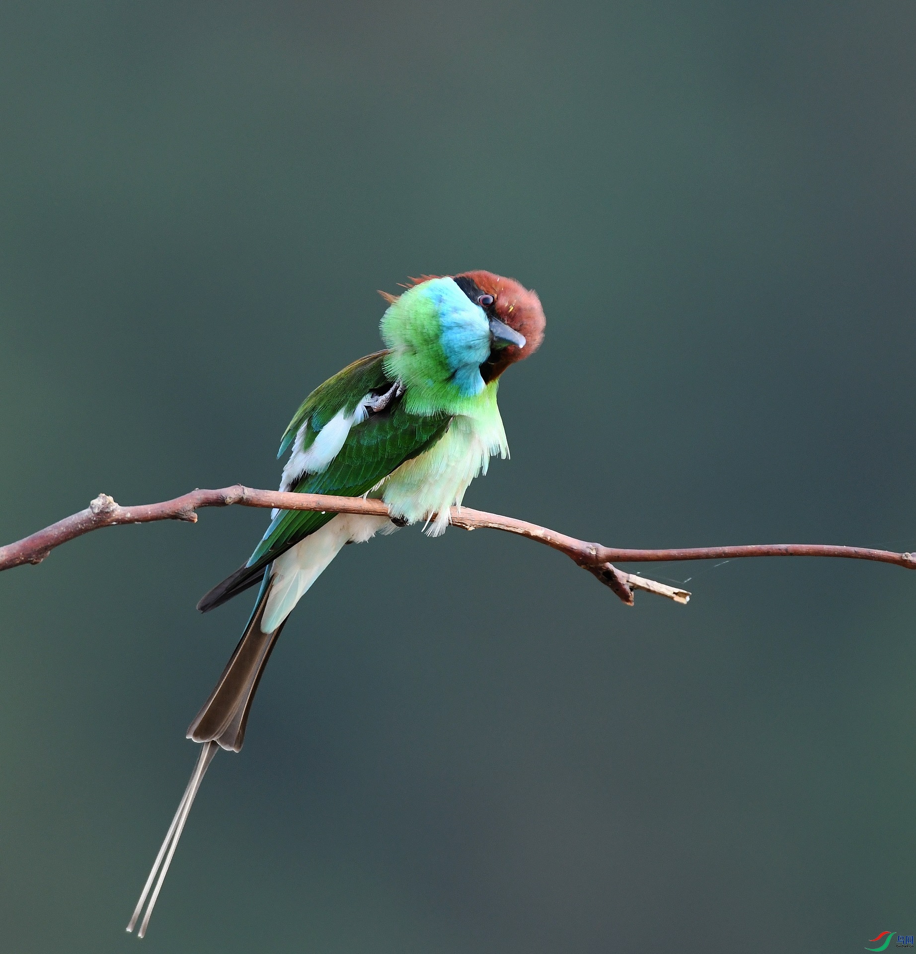 DSC_0581.jpg