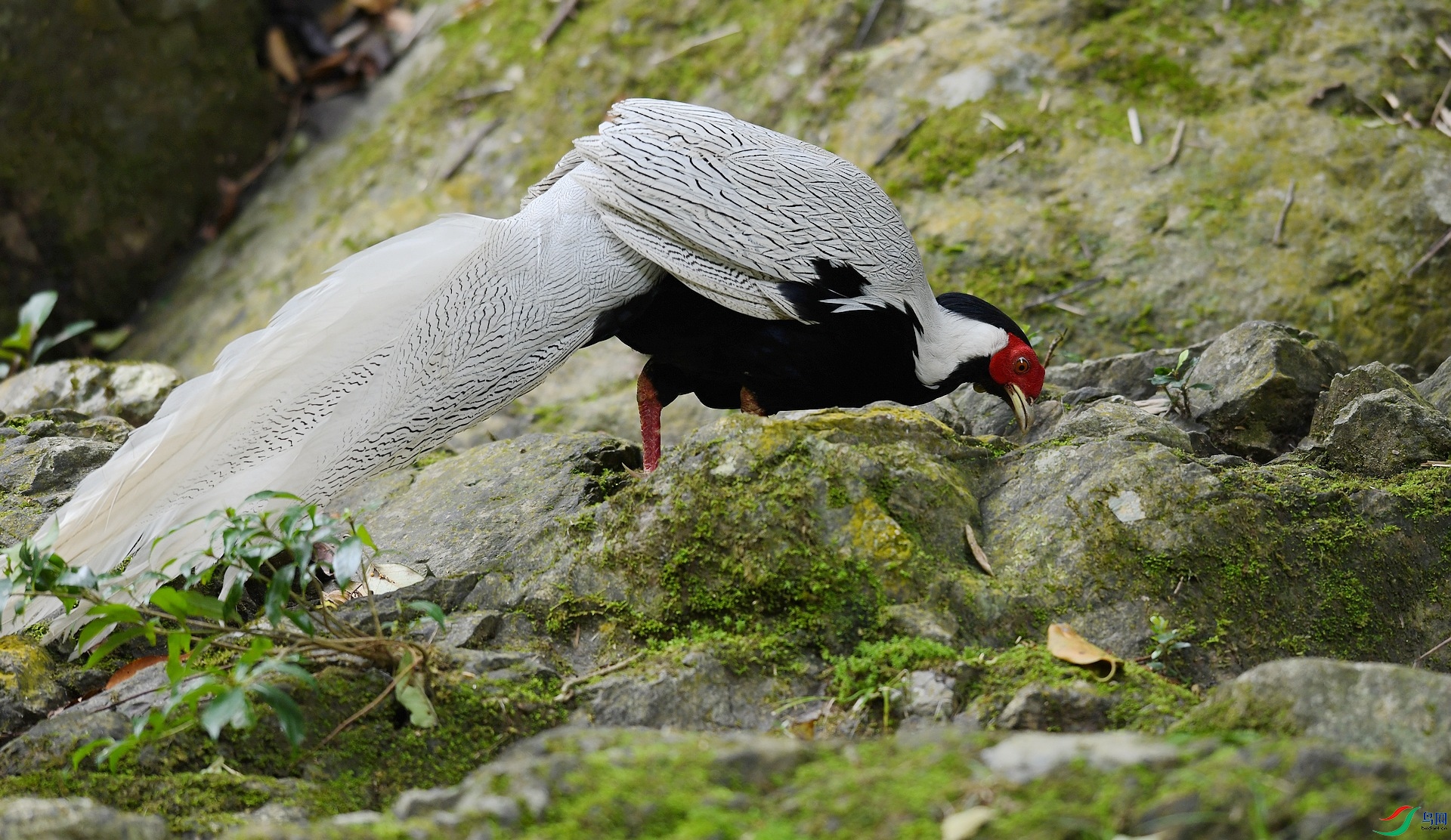 DSC_4867.jpg
