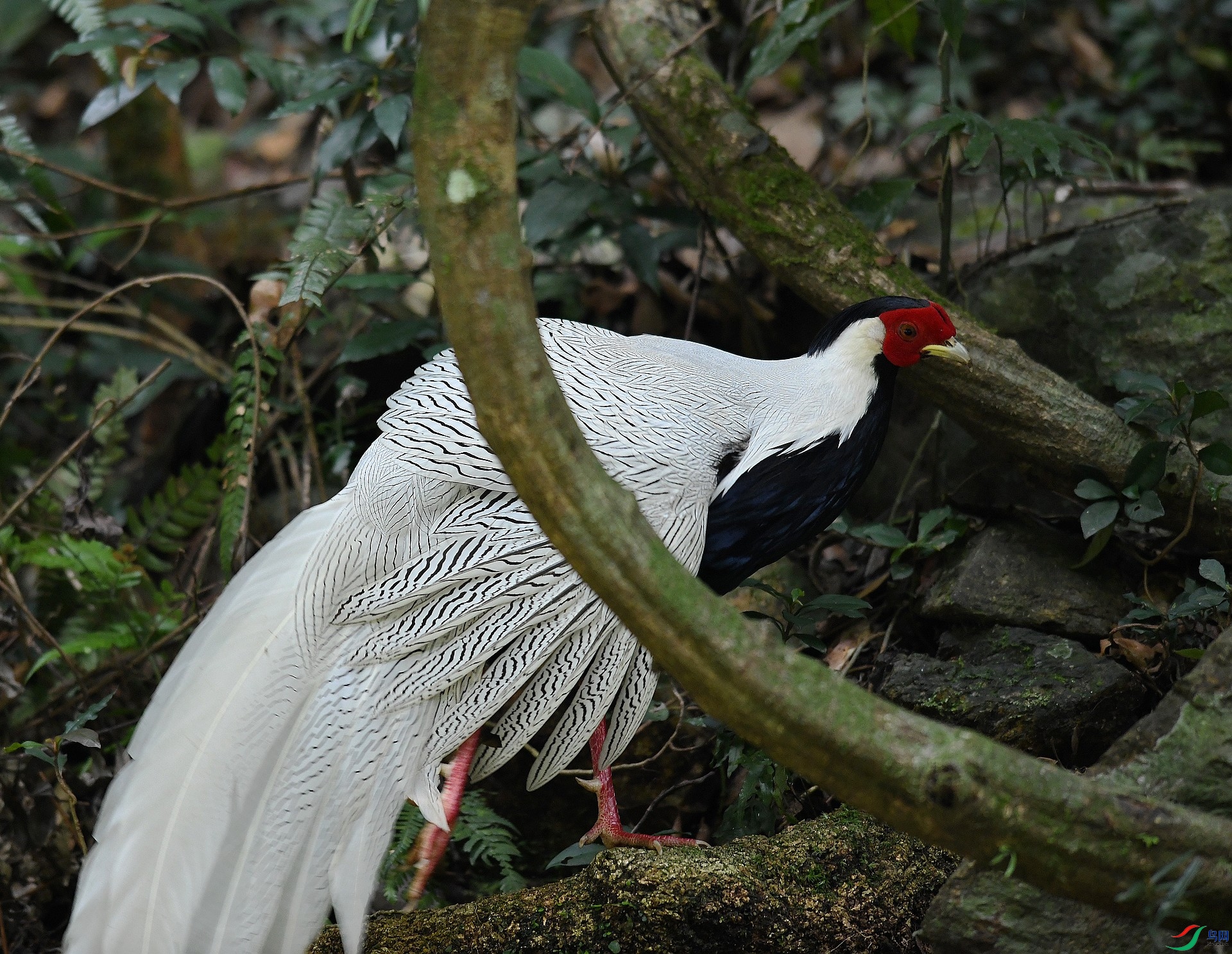 DSC_5429.jpg