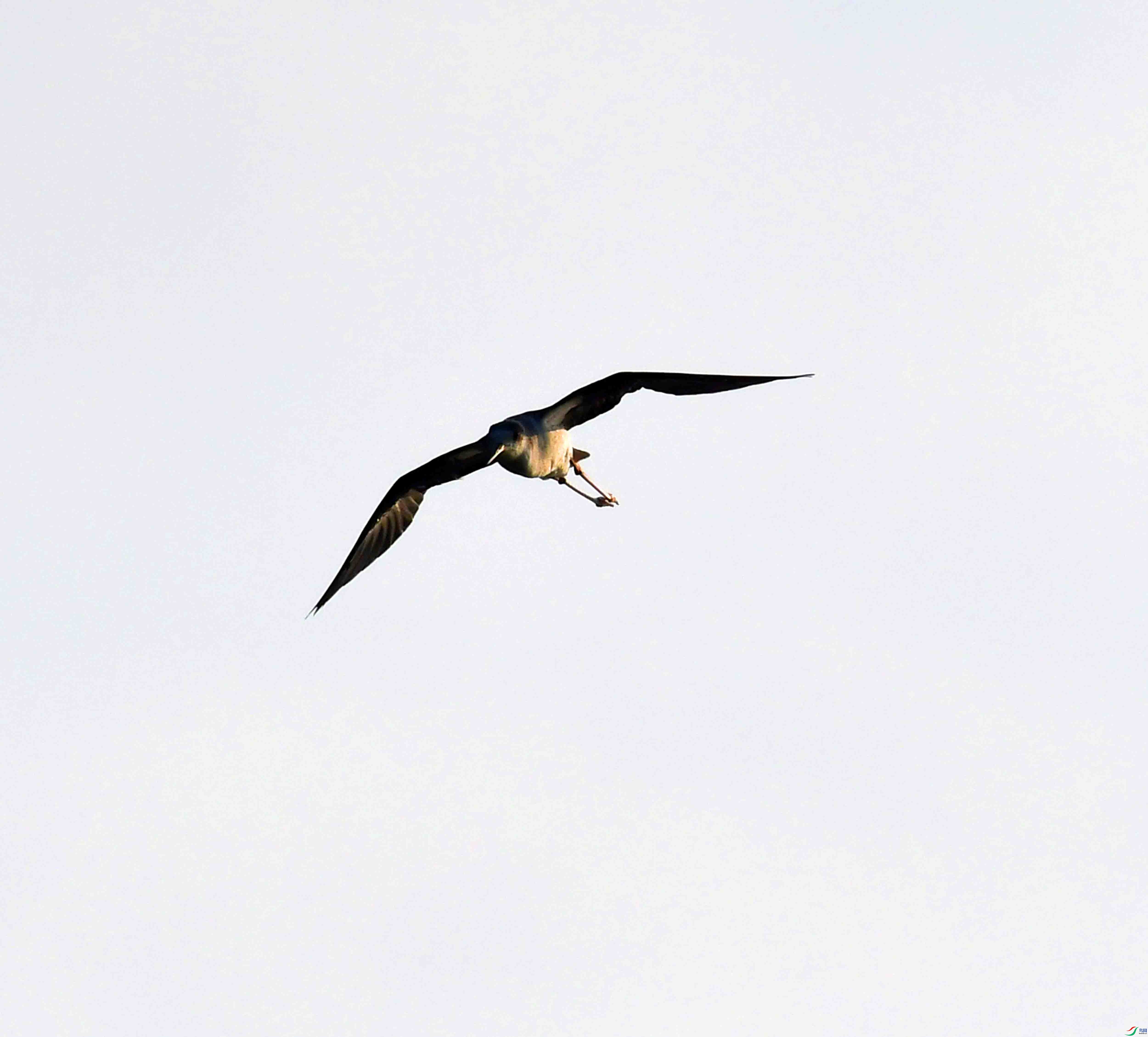 DSC_0174.JPG