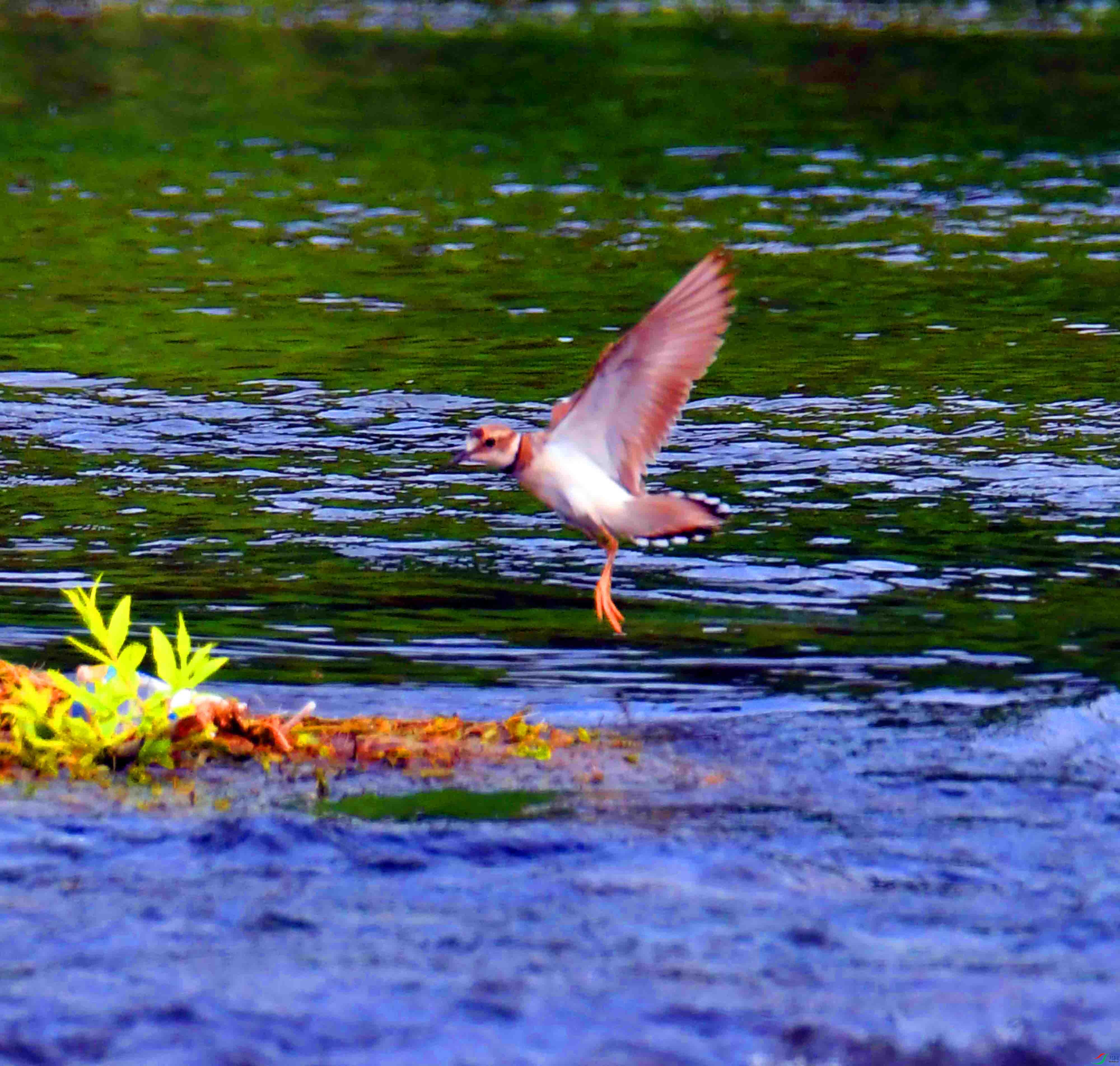DSC_8654.JPG