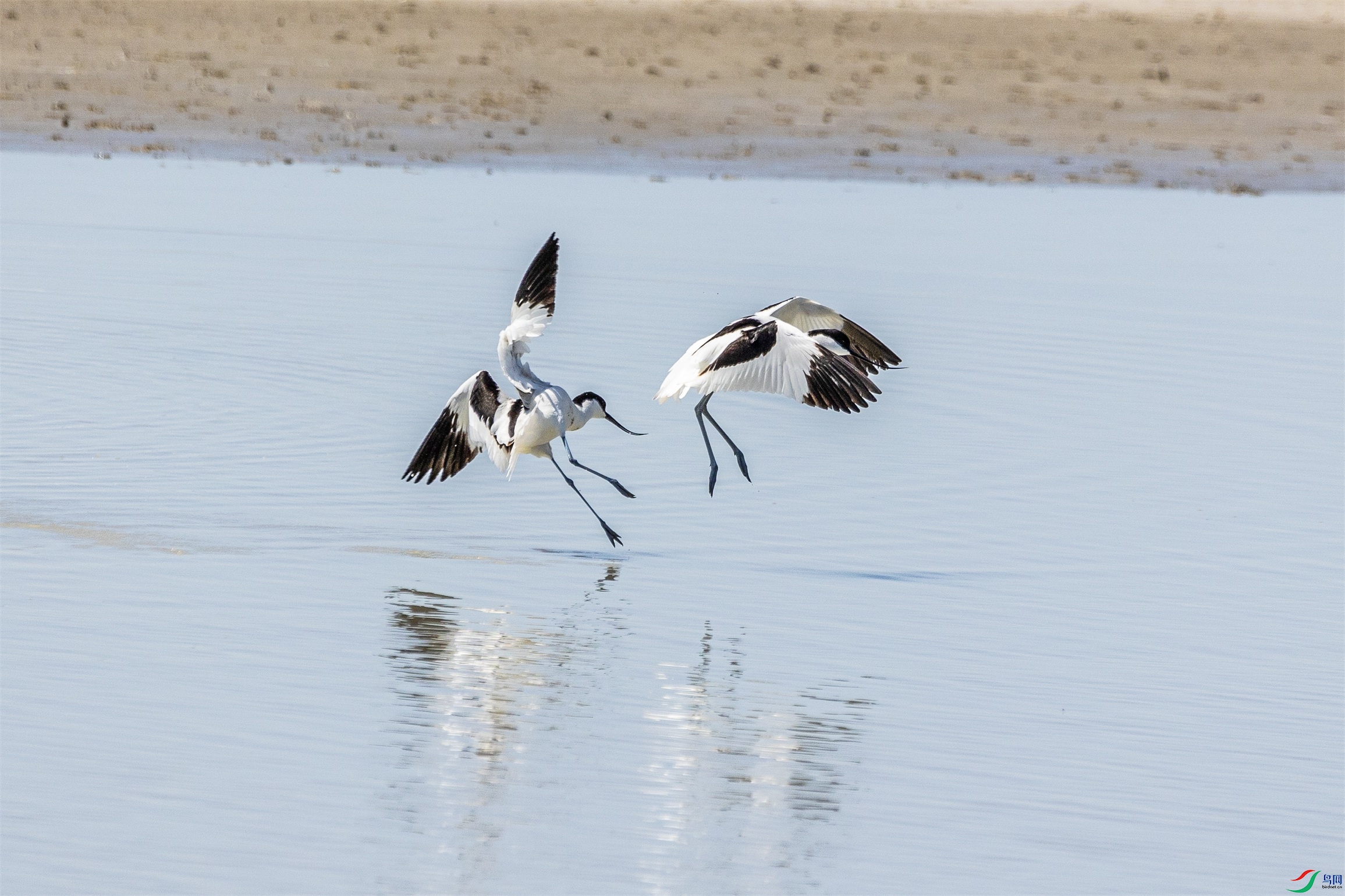 1K3A9925 ����1.jpg