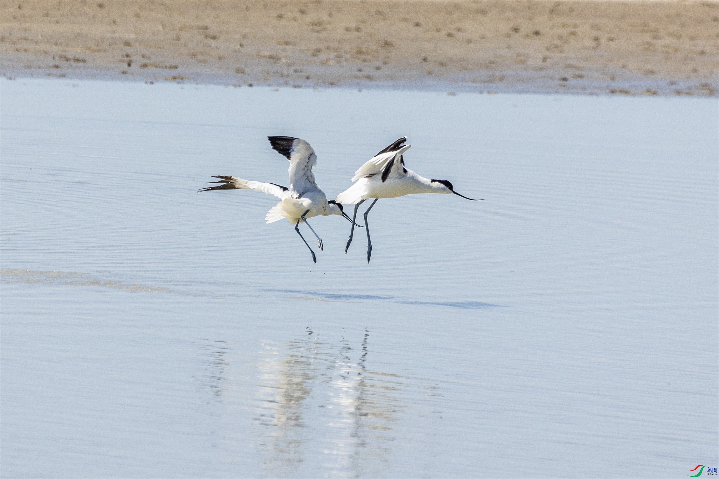 1K3A9923 ����1.jpg